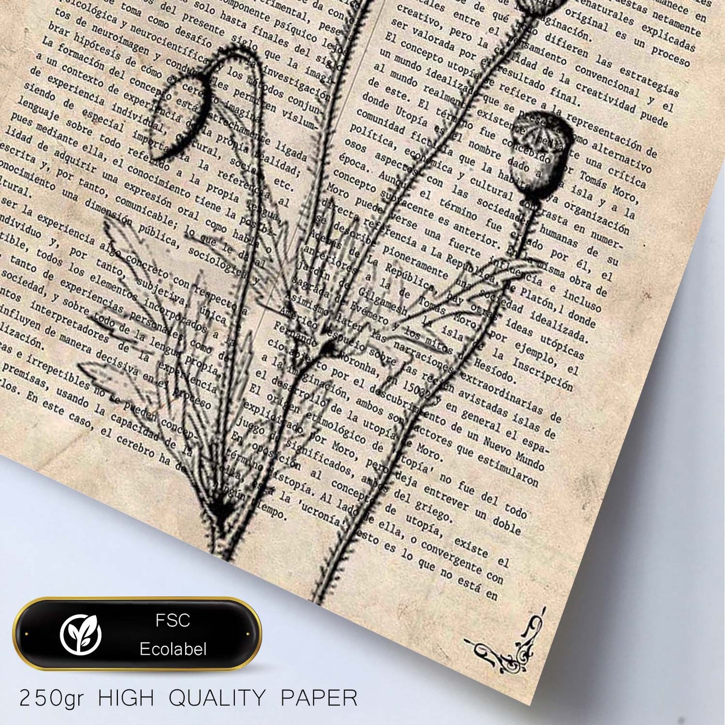 Poster de Amapola blanco y negro. Láminas de flores diseñadas con estilo antiguo. Diseño de botánica y plantas.-Artwork-Nacnic-Nacnic Estudio SL