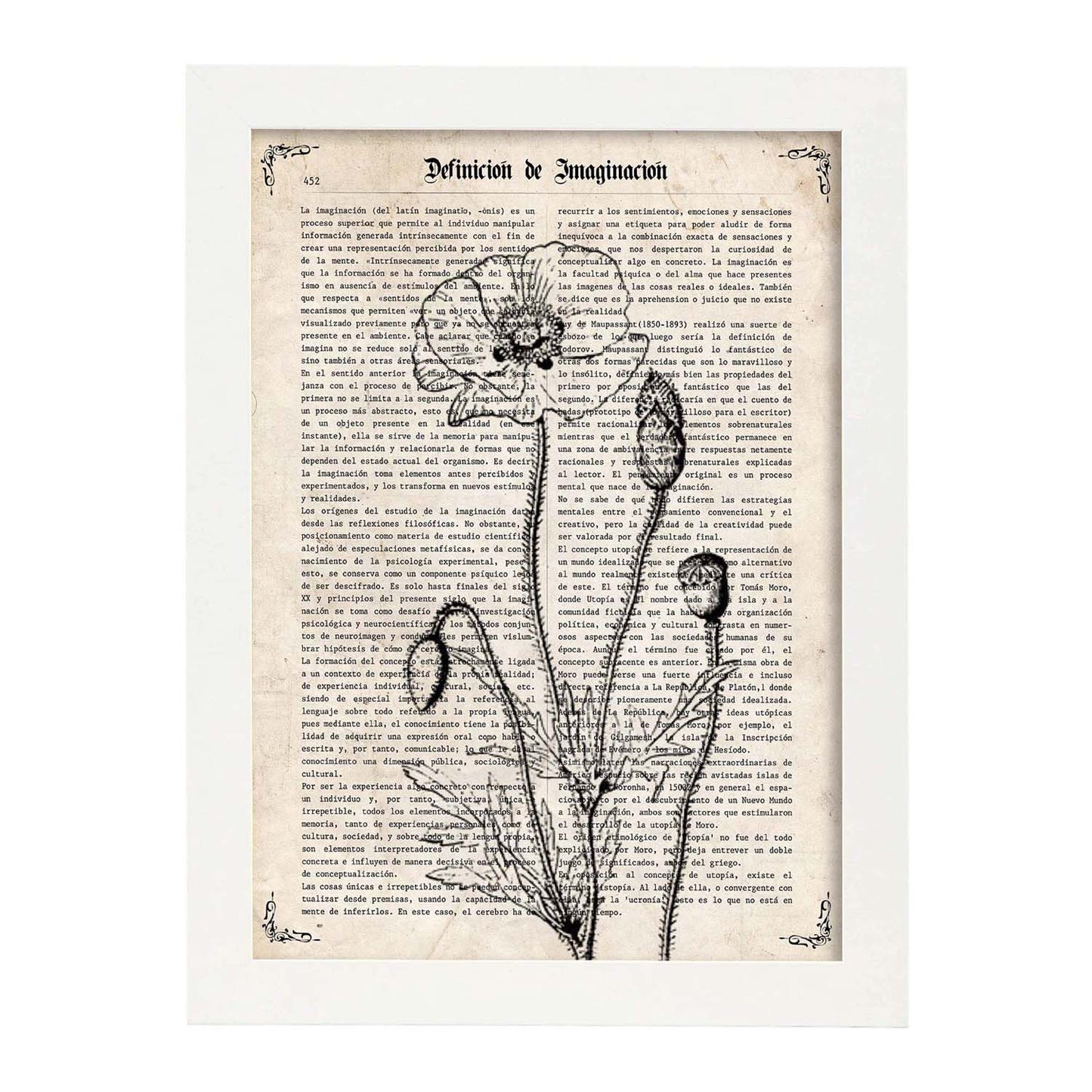 Poster de Amapola blanco y negro. Láminas de flores diseñadas con estilo antiguo. Diseño de botánica y plantas.-Artwork-Nacnic-A3-Marco Blanco-Nacnic Estudio SL