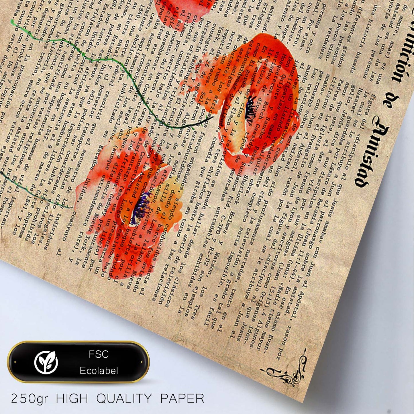 Poster de amapolas. Láminas de flores diseñadas con estilo antiguo. Diseño de botánica y plantas.-Artwork-Nacnic-Nacnic Estudio SL