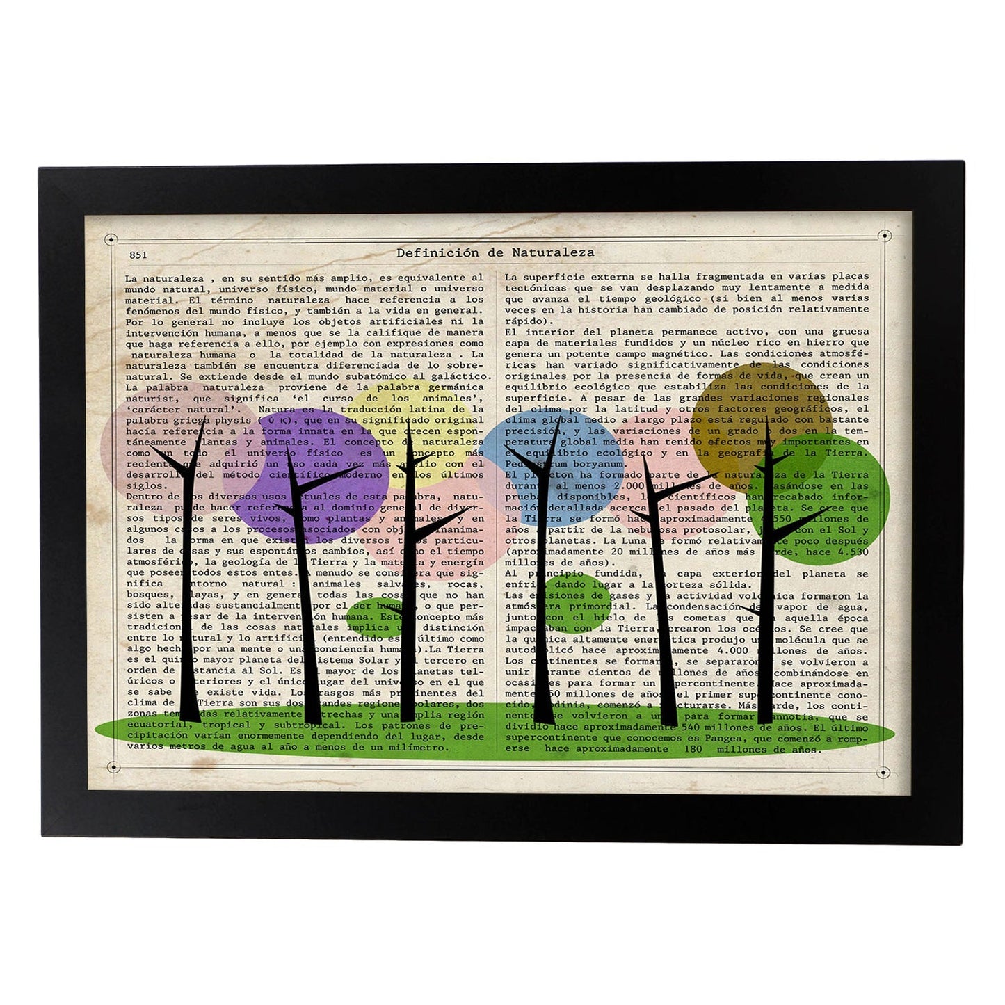 Poster de Arboleda. Láminas de flores diseñadas con estilo antiguo. Diseño de botánica y plantas.-Artwork-Nacnic-A3-Marco Negro-Nacnic Estudio SL
