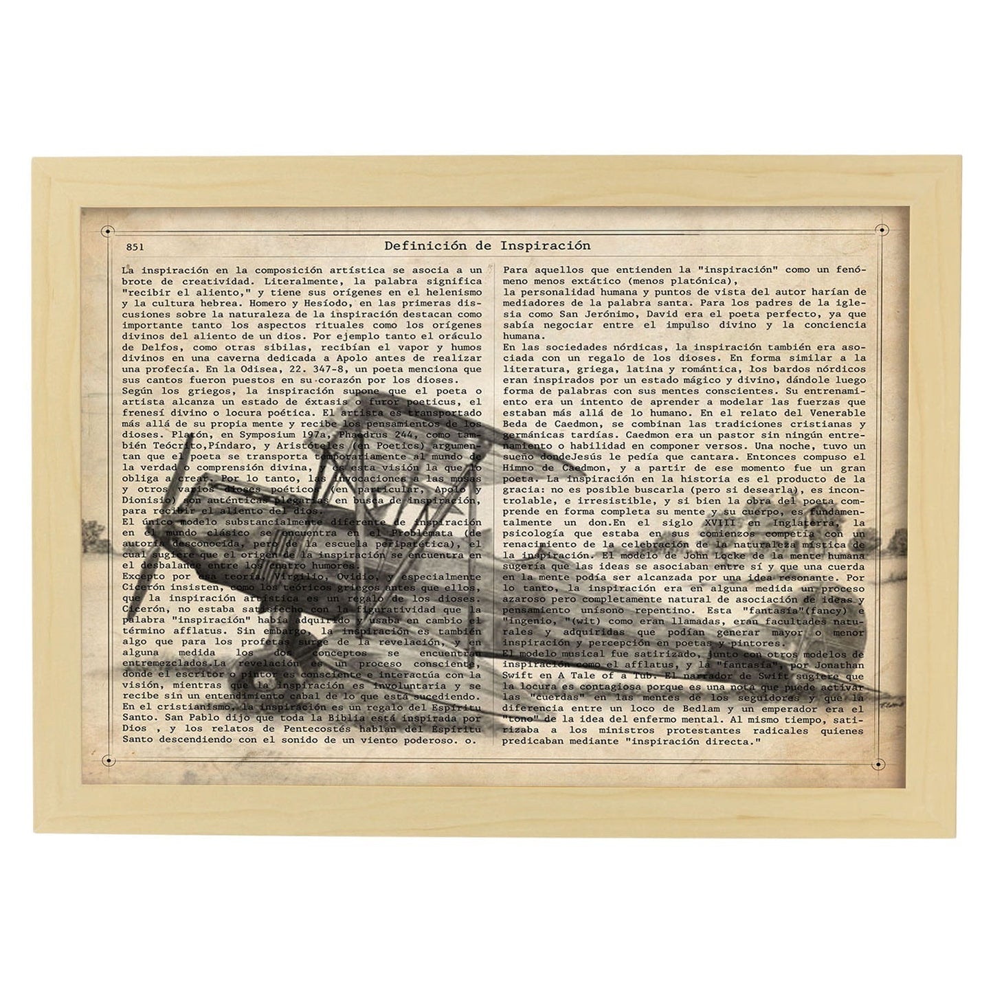 Poster de Avion una helice. Láminas de vehículos con definiciones. Ilustraciones vintage de coches, motos, aviones,
-Artwork-Nacnic-A4-Marco Madera clara-Nacnic Estudio SL