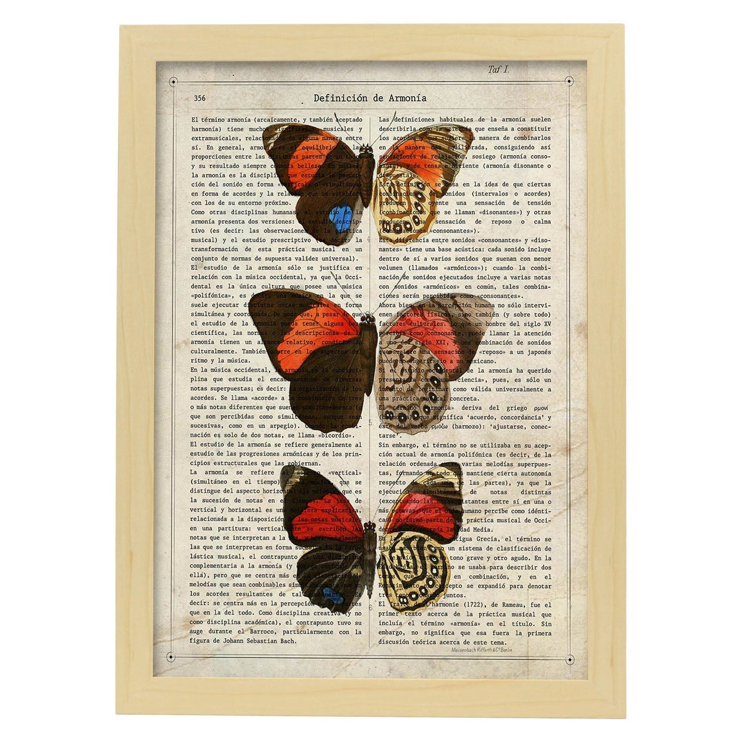 Poster de Biblis hyperia. Láminas de mariposas. Decoración de mariposas y polillas.-Artwork-Nacnic-A4-Marco Madera clara-Nacnic Estudio SL