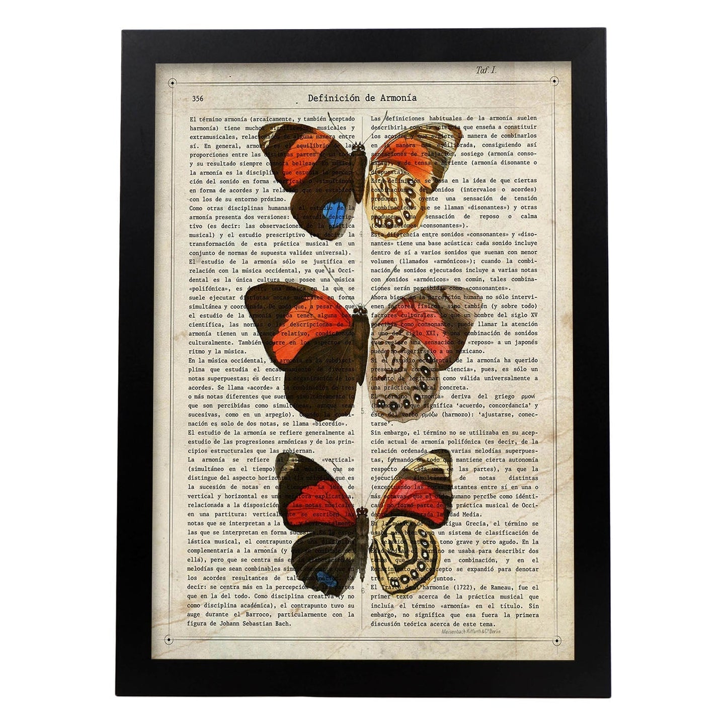 Poster de Biblis hyperia. Láminas de mariposas. Decoración de mariposas y polillas.-Artwork-Nacnic-A4-Marco Negro-Nacnic Estudio SL