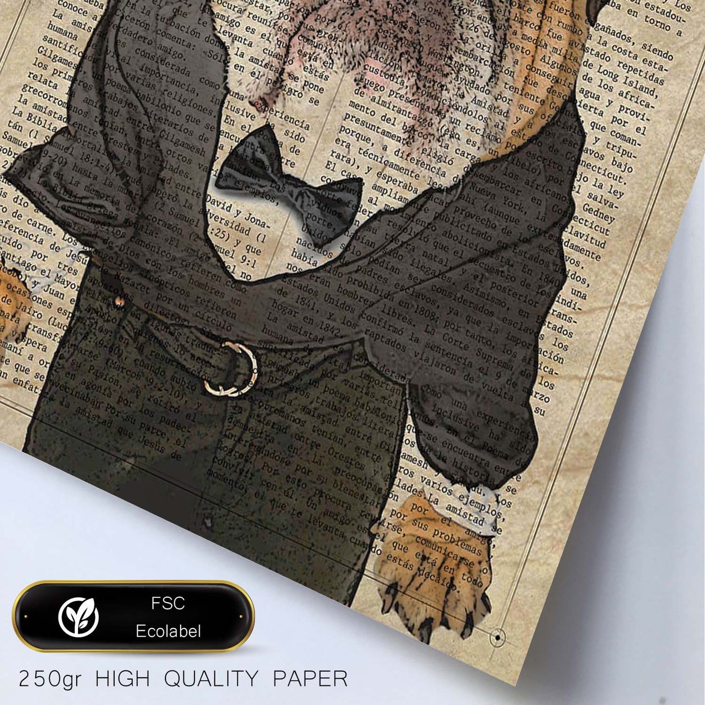 Poster de Bulldog trajeado. Láminas de animales con definiciones. Regalo para los amantes de los animales.-Artwork-Nacnic-Nacnic Estudio SL