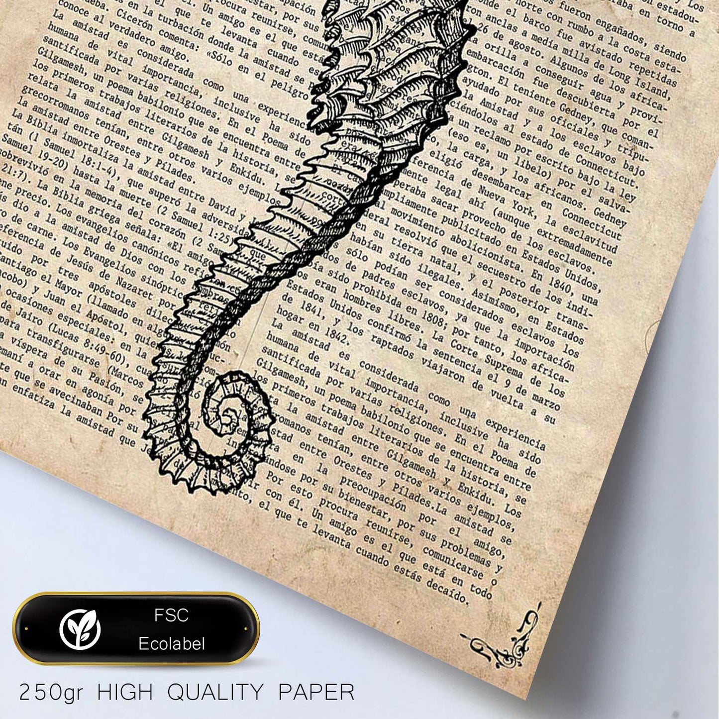 Poster de Caballito de mar con corona. Láminas de animales con definiciones. Regalo para los amantes de los animales.-Artwork-Nacnic-Nacnic Estudio SL