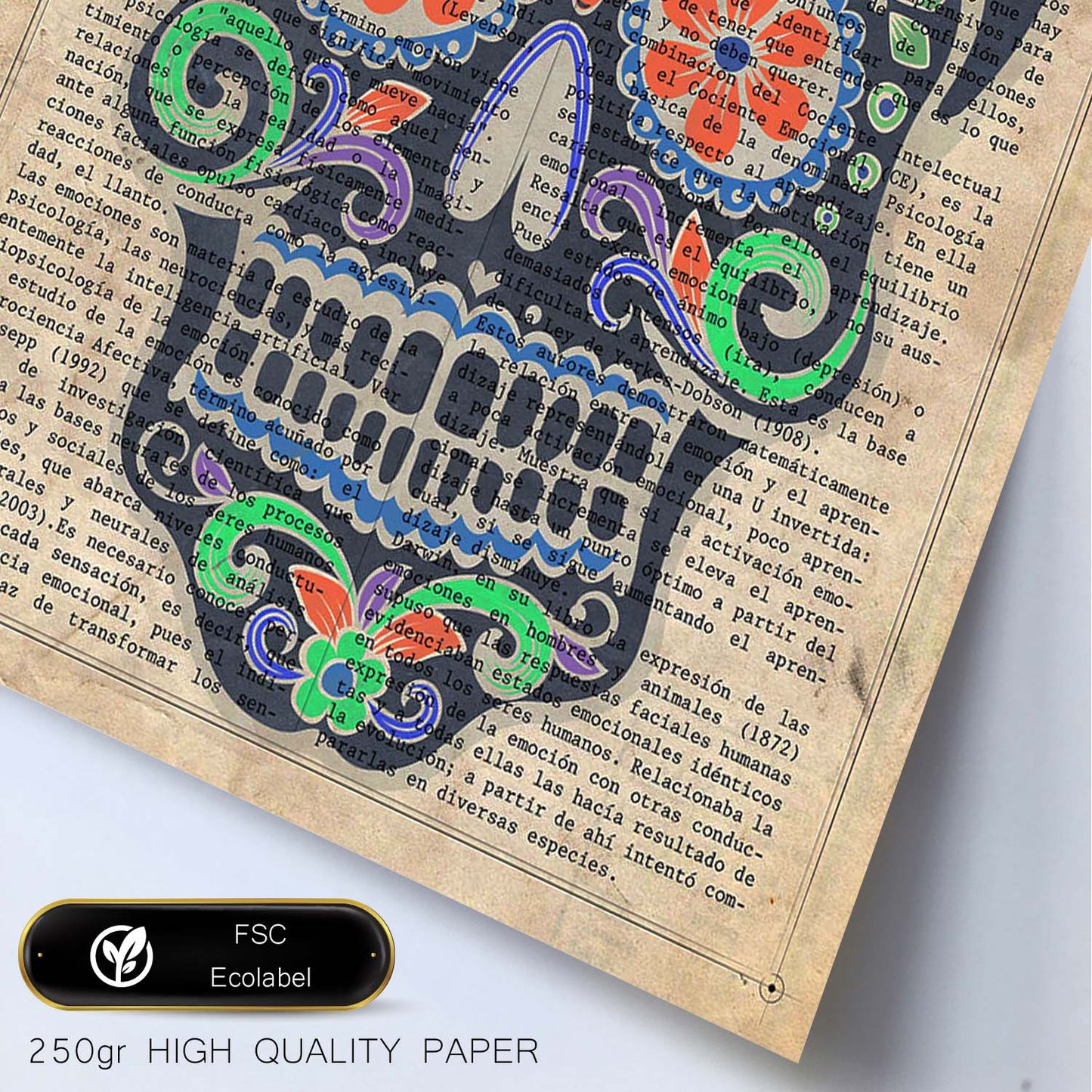Poster de Calavera mexicana negra. Láminas de calaveras. Decoración de hogar.-Artwork-Nacnic-Nacnic Estudio SL