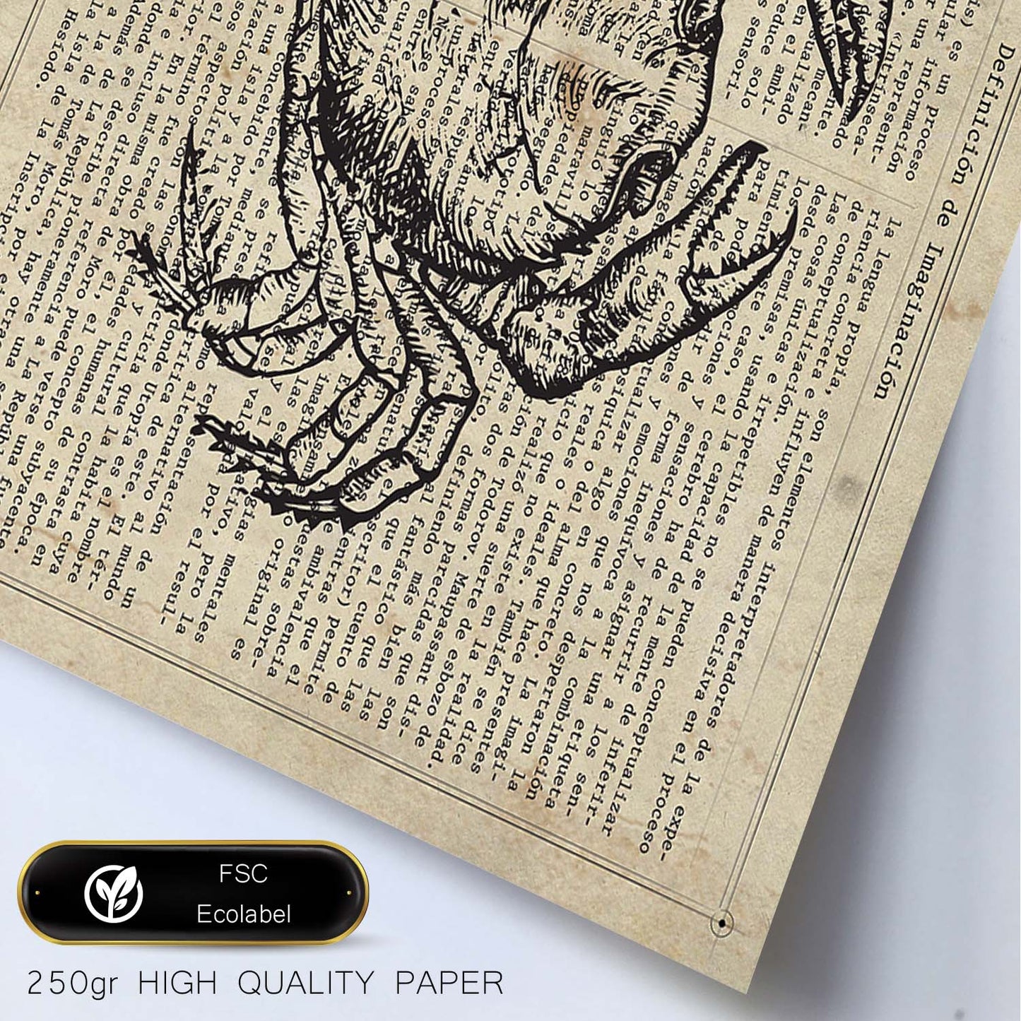 Poster de Cangrejo Vintage con definición. Láminas de animales con texto y definición. Diseño de interiores basado en animales.-Artwork-Nacnic-Nacnic Estudio SL