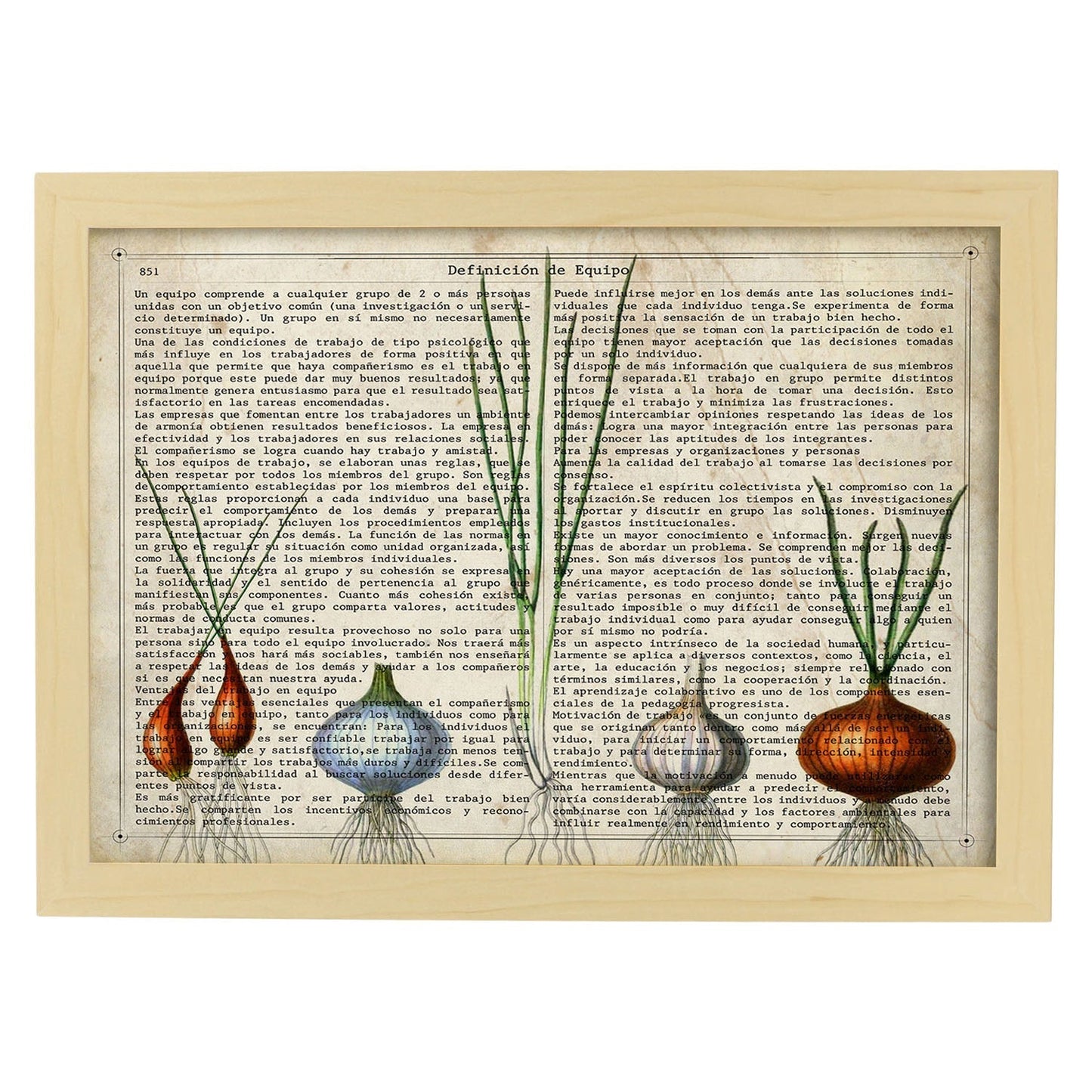 Poster de Cebollas y ajos. Láminas de frutas y verduras con definiciones. Ilustraciones de alimentacion vegetariana.-Artwork-Nacnic-A3-Marco Madera clara-Nacnic Estudio SL