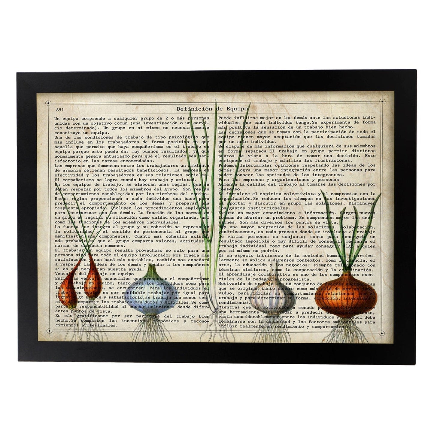 Poster de Cebollas y ajos. Láminas de frutas y verduras con definiciones. Ilustraciones de alimentacion vegetariana.-Artwork-Nacnic-A3-Marco Negro-Nacnic Estudio SL