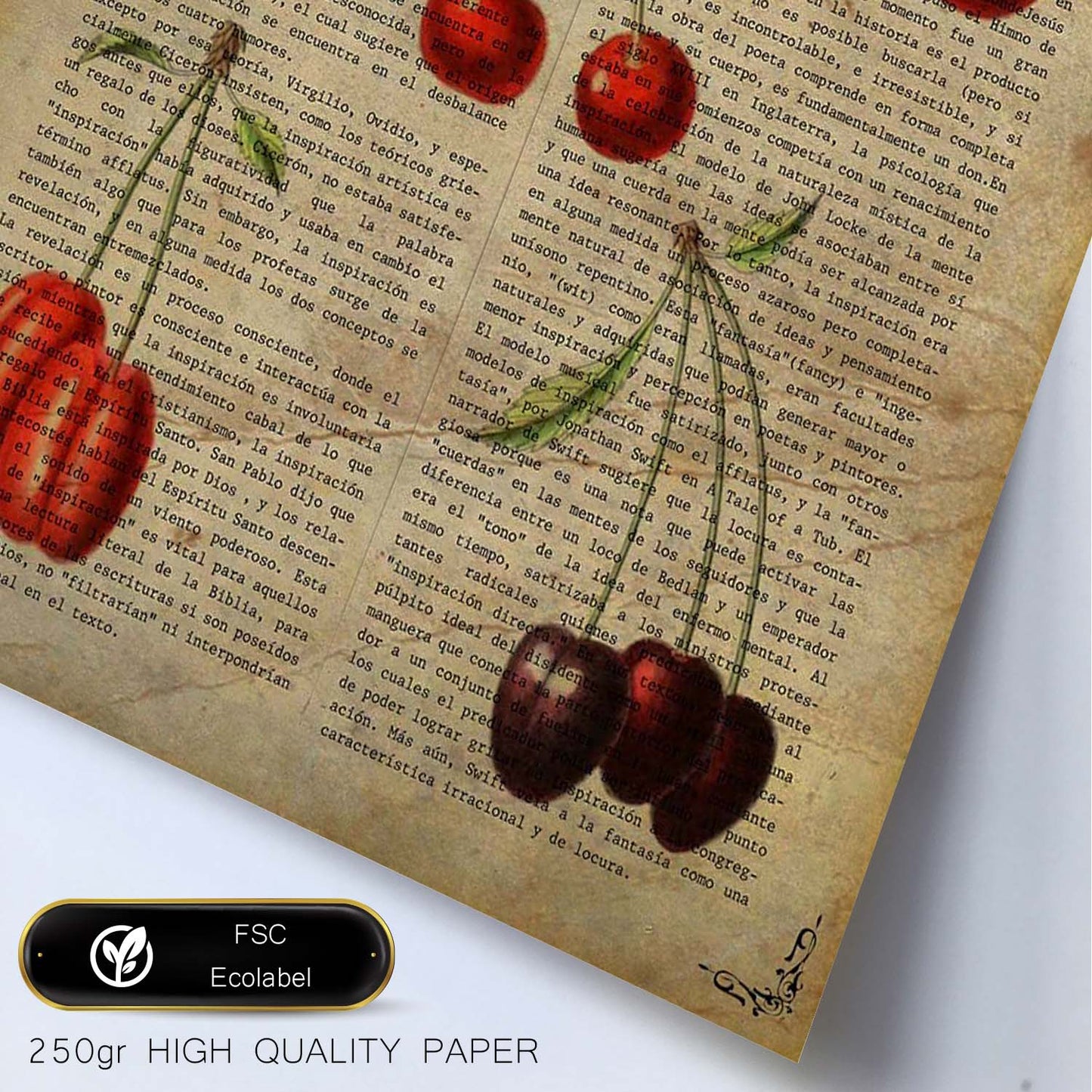 Poster de Cerezas. Láminas de frutas y verduras con definiciones. Ilustraciones de alimentacion vegetariana.-Artwork-Nacnic-Nacnic Estudio SL