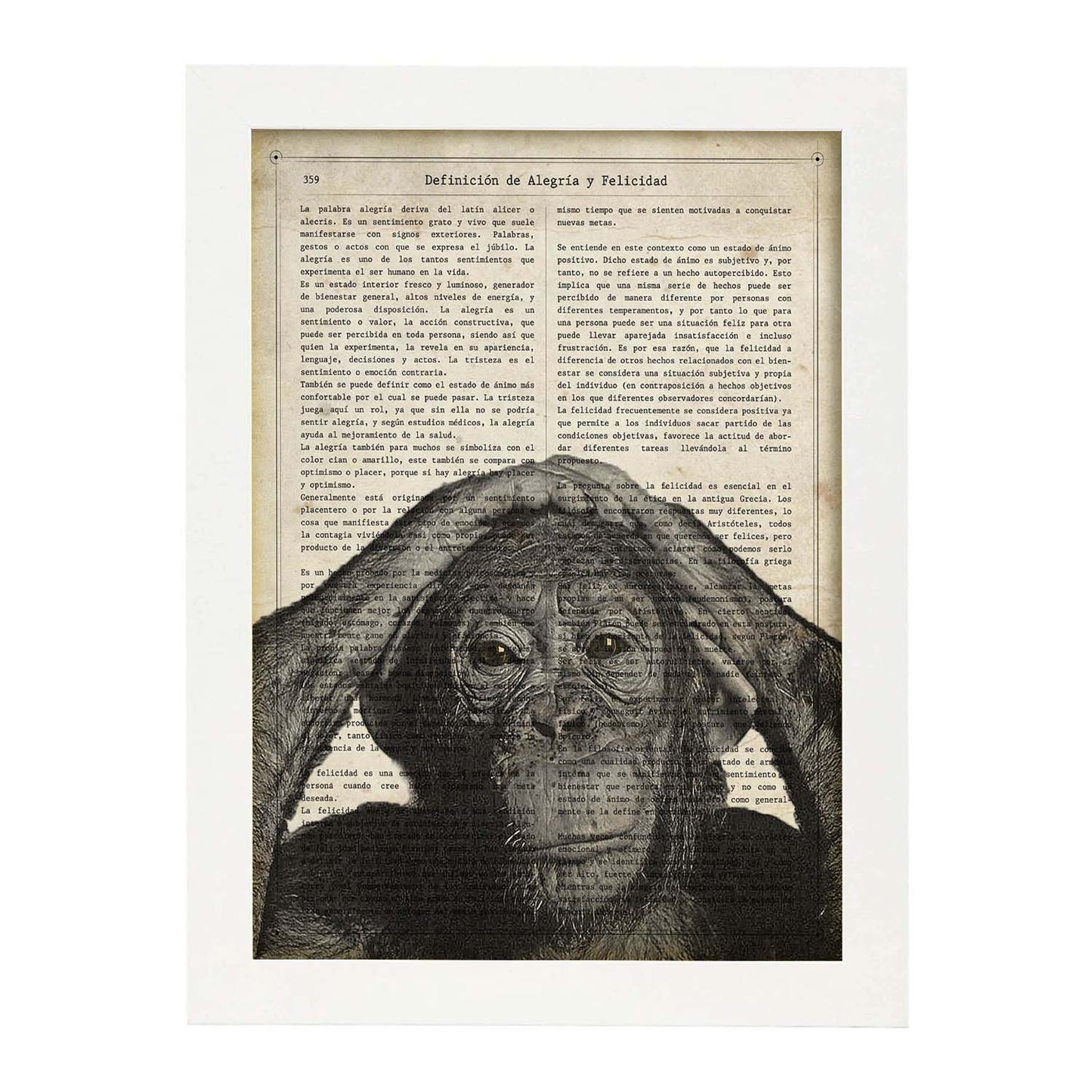 Poster de Chimpance. Láminas de animales con definiciones. Regalo para los amantes de los animales.-Artwork-Nacnic-A3-Marco Blanco-Nacnic Estudio SL