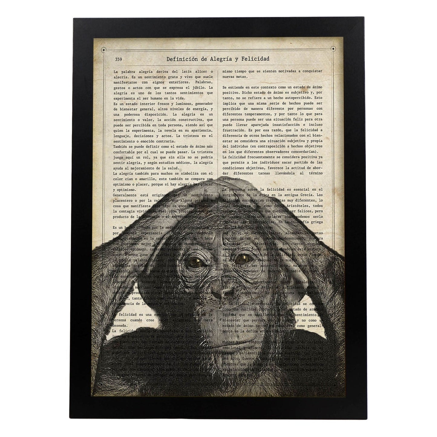 Poster de Chimpance. Láminas de animales con definiciones. Regalo para los amantes de los animales.-Artwork-Nacnic-A4-Marco Negro-Nacnic Estudio SL