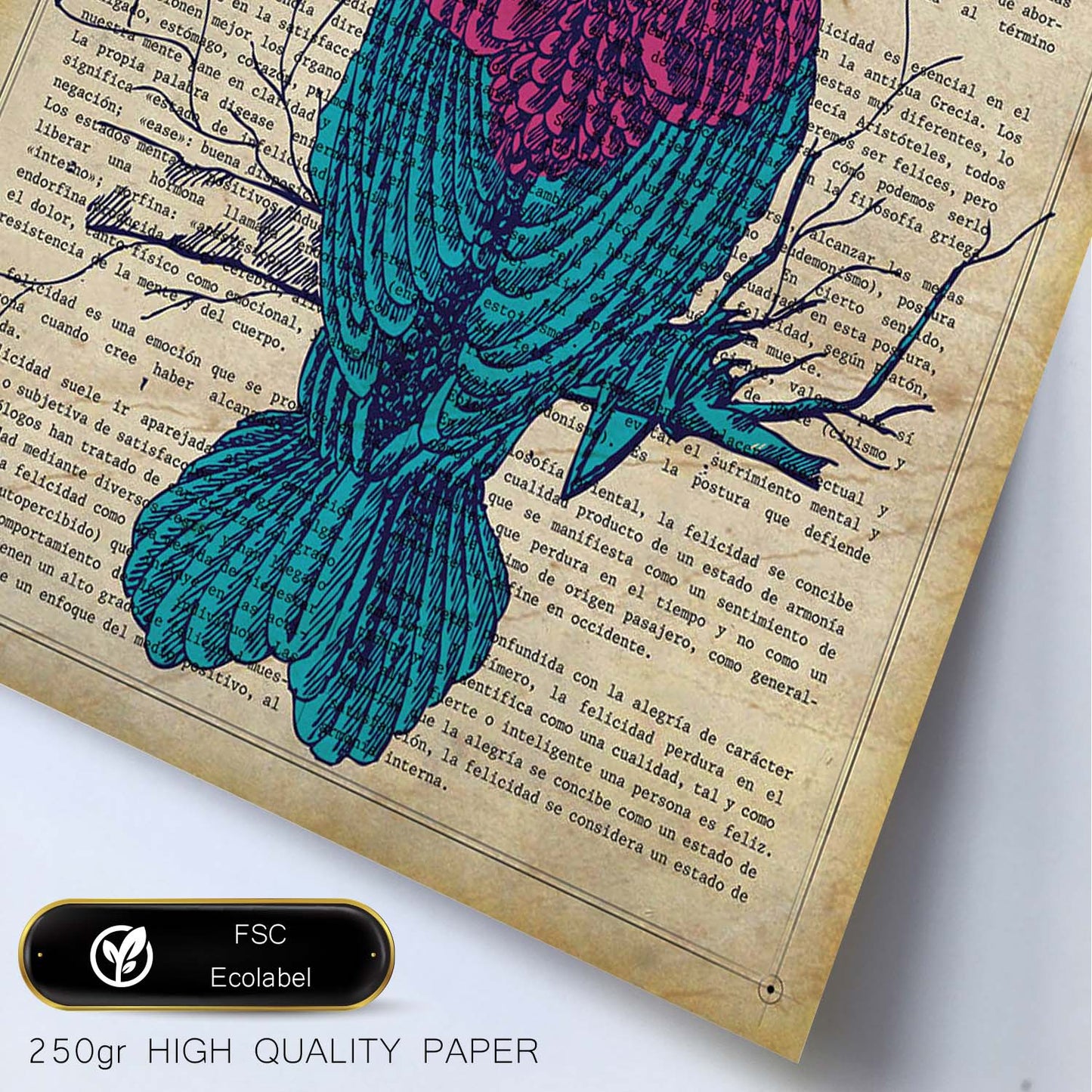 Poster de Colibri. Láminas de animales con definiciones. Regalo para los amantes de los animales.-Artwork-Nacnic-Nacnic Estudio SL