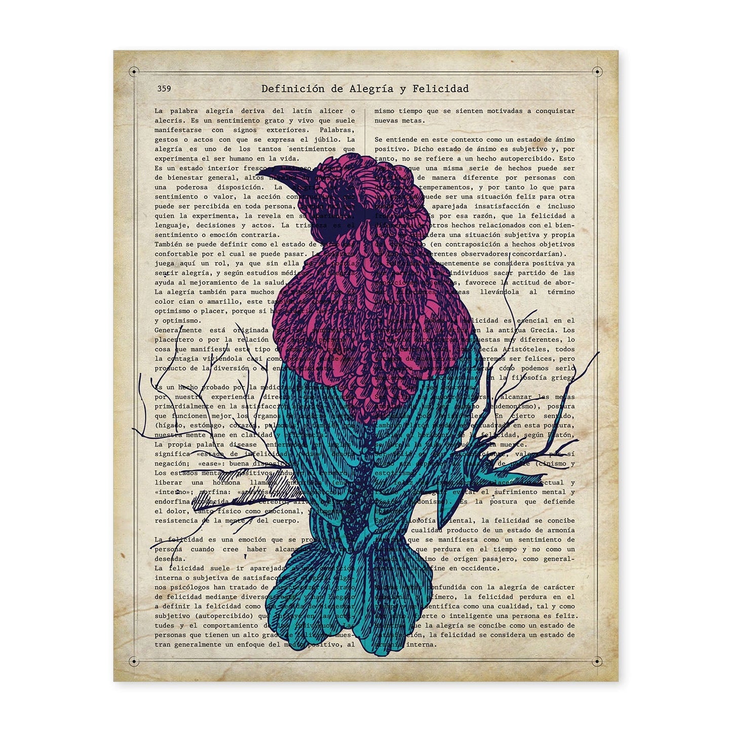 Poster de Colibri. Láminas de animales con definiciones. Regalo para los amantes de los animales.-Artwork-Nacnic-A4-Sin marco-Nacnic Estudio SL