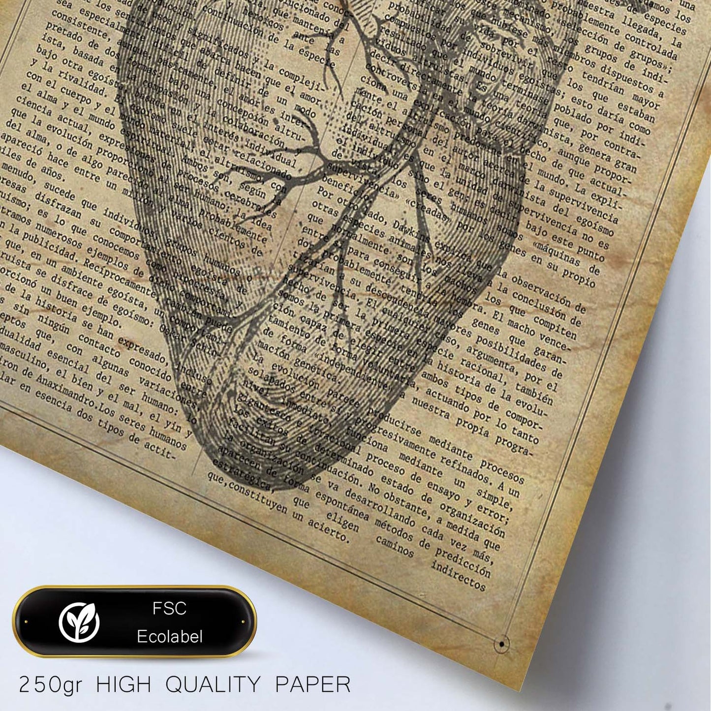 Poster de Corazon anatomico. Láminas románticas de amor con definiciones. Ilustraciones para tu pareja, familia, mujer, ...-Artwork-Nacnic-Nacnic Estudio SL