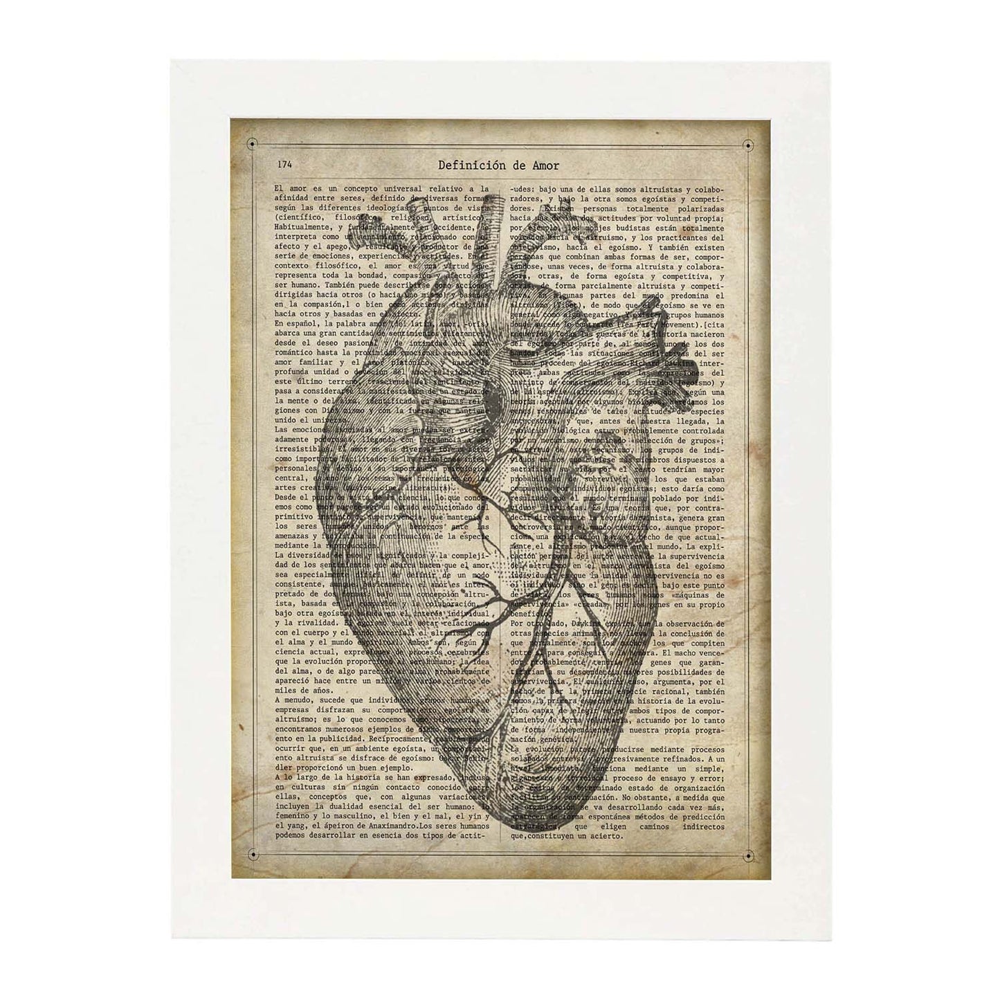 Poster de Corazon anatomico. Láminas románticas de amor con definiciones. Ilustraciones para tu pareja, familia, mujer, ...-Artwork-Nacnic-A3-Marco Blanco-Nacnic Estudio SL
