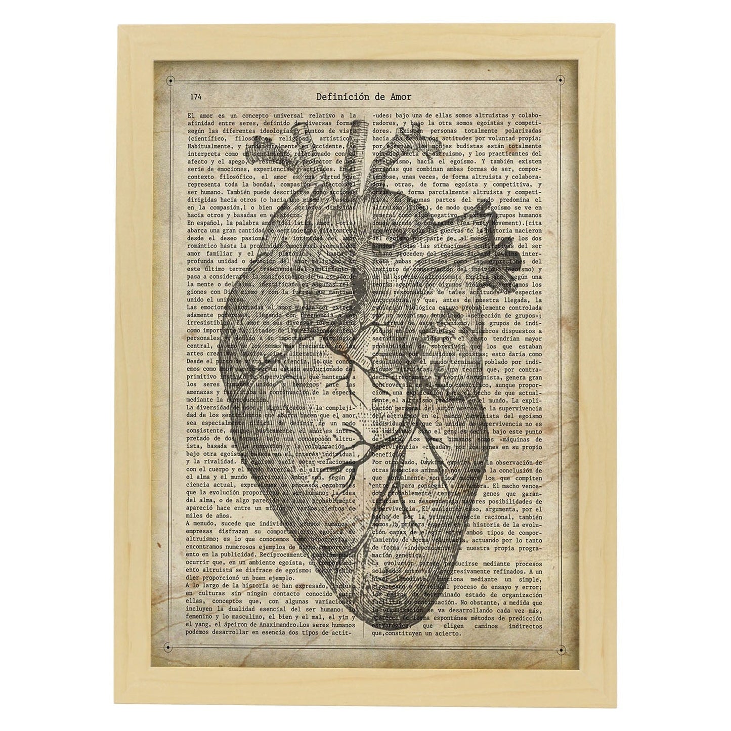 Poster de Corazon anatomico. Láminas románticas de amor con definiciones. Ilustraciones para tu pareja, familia, mujer, ...-Artwork-Nacnic-A4-Marco Madera clara-Nacnic Estudio SL