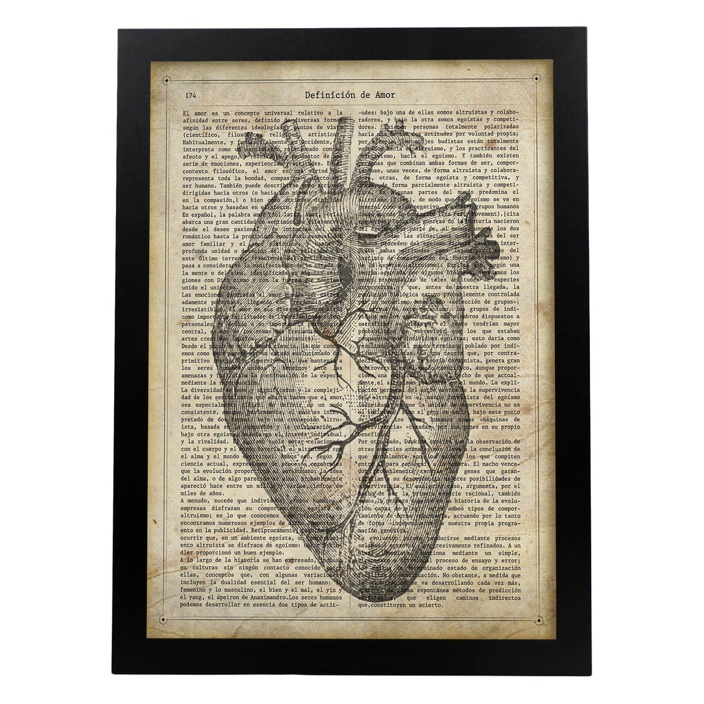 Poster de Corazon anatomico. Láminas románticas de amor con definiciones. Ilustraciones para tu pareja, familia, mujer, ...-Artwork-Nacnic-A4-Marco Negro-Nacnic Estudio SL