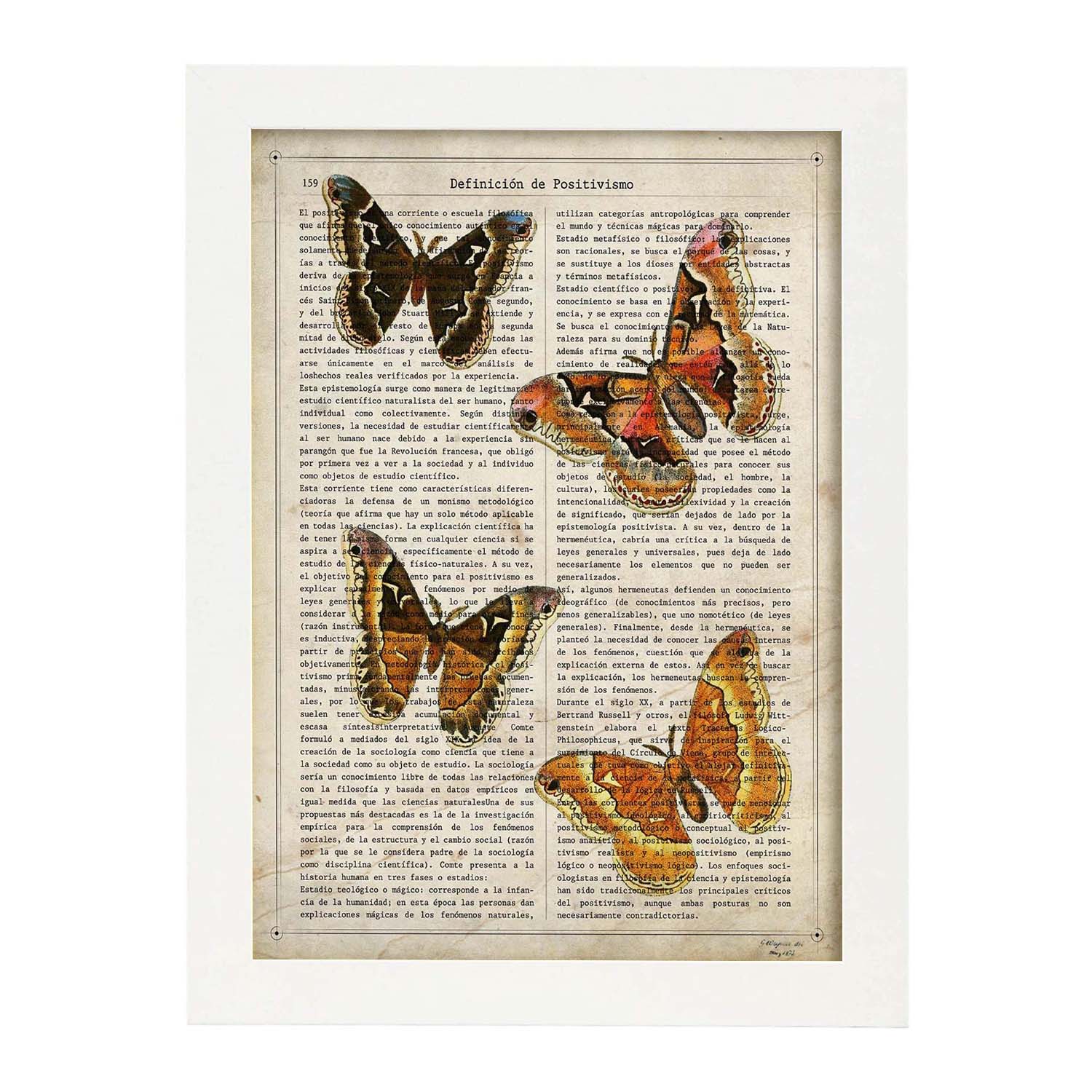 Poster de Cuatro polillas. Láminas de mariposas. Decoración de mariposas y polillas.-Artwork-Nacnic-A3-Marco Blanco-Nacnic Estudio SL