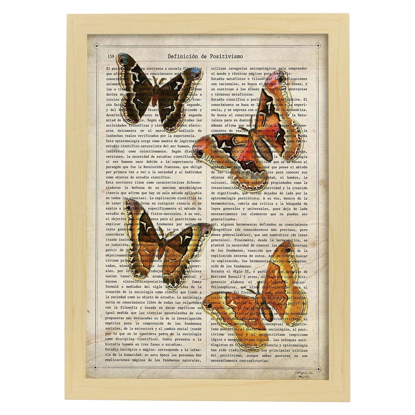 Poster de Cuatro polillas. Láminas de mariposas. Decoración de mariposas y polillas.-Artwork-Nacnic-A3-Marco Madera clara-Nacnic Estudio SL