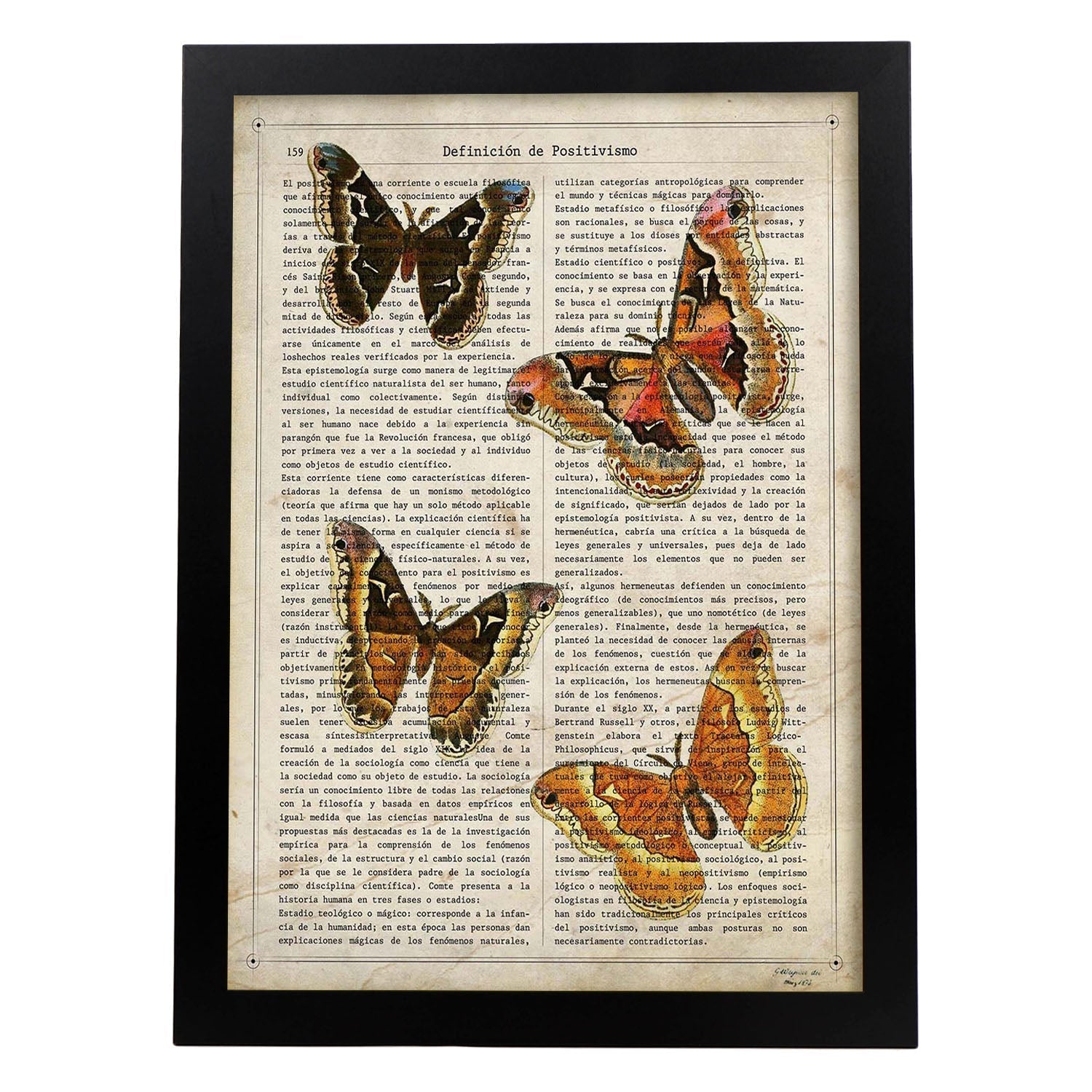 Poster de Cuatro polillas. Láminas de mariposas. Decoración de mariposas y polillas.-Artwork-Nacnic-A3-Marco Negro-Nacnic Estudio SL