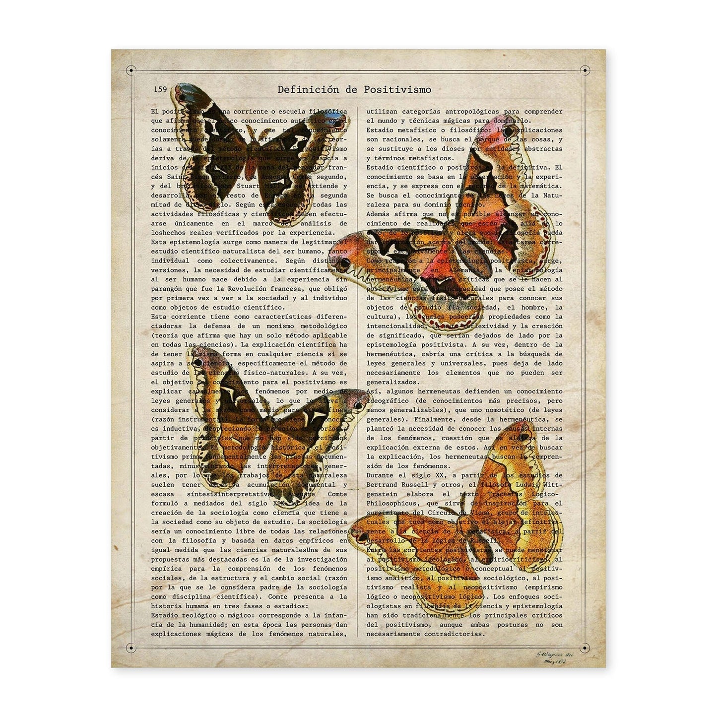 Poster de Cuatro polillas. Láminas de mariposas. Decoración de mariposas y polillas.-Artwork-Nacnic-A4-Sin marco-Nacnic Estudio SL