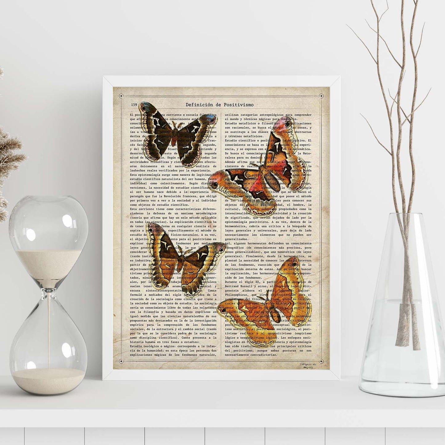 Poster de Cuatro polillas. Láminas de mariposas. Decoración de mariposas y polillas.-Artwork-Nacnic-Nacnic Estudio SL