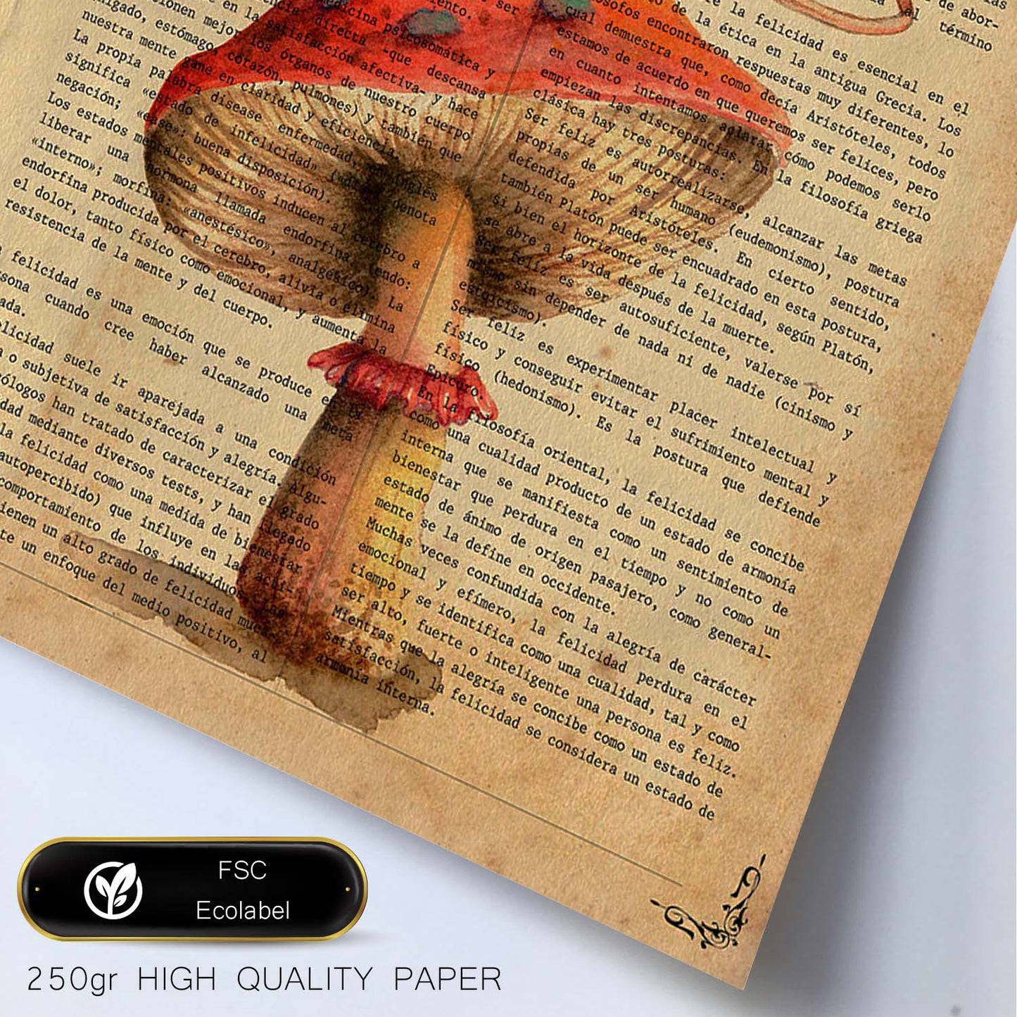 Poster de De Fábula con definición. Láminas de animales con texto y definición. Diseño de interiores basado en animales.-Artwork-Nacnic-Nacnic Estudio SL