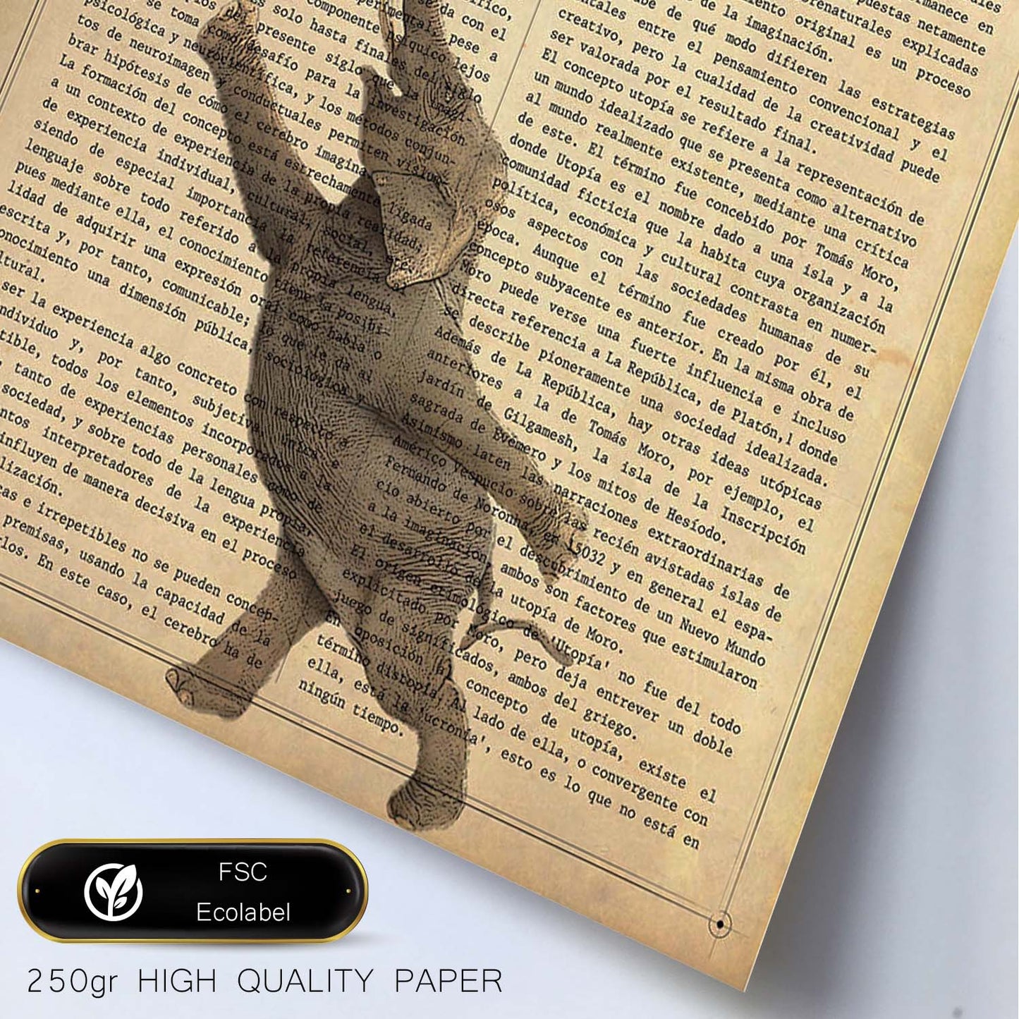 Poster de Elefante con silla. Láminas de elefantes con definiciones. Diseño con imágenes de elefantes y textos.-Artwork-Nacnic-Nacnic Estudio SL