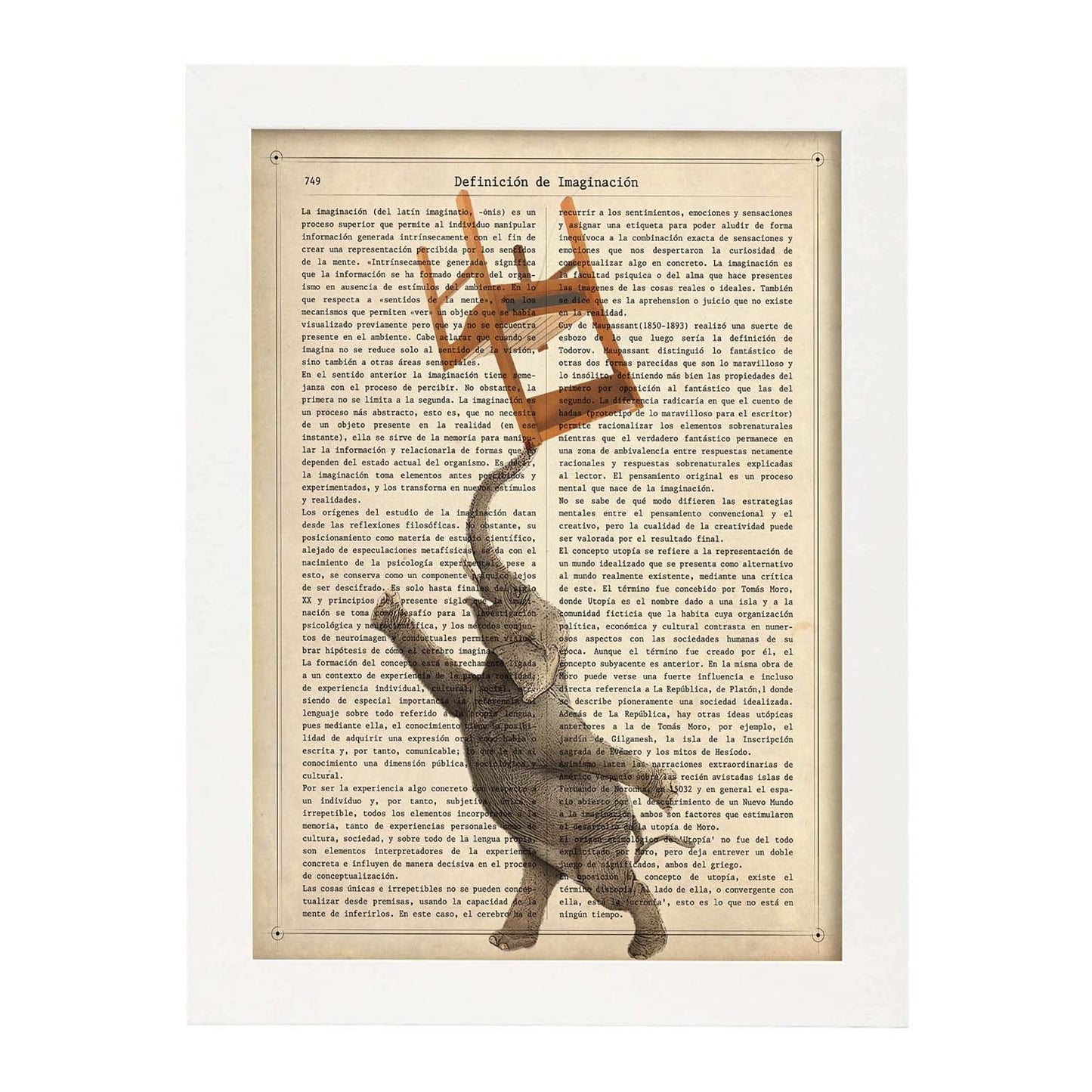 Poster de Elefante con silla. Láminas de elefantes con definiciones. Diseño con imágenes de elefantes y textos.-Artwork-Nacnic-A3-Marco Blanco-Nacnic Estudio SL