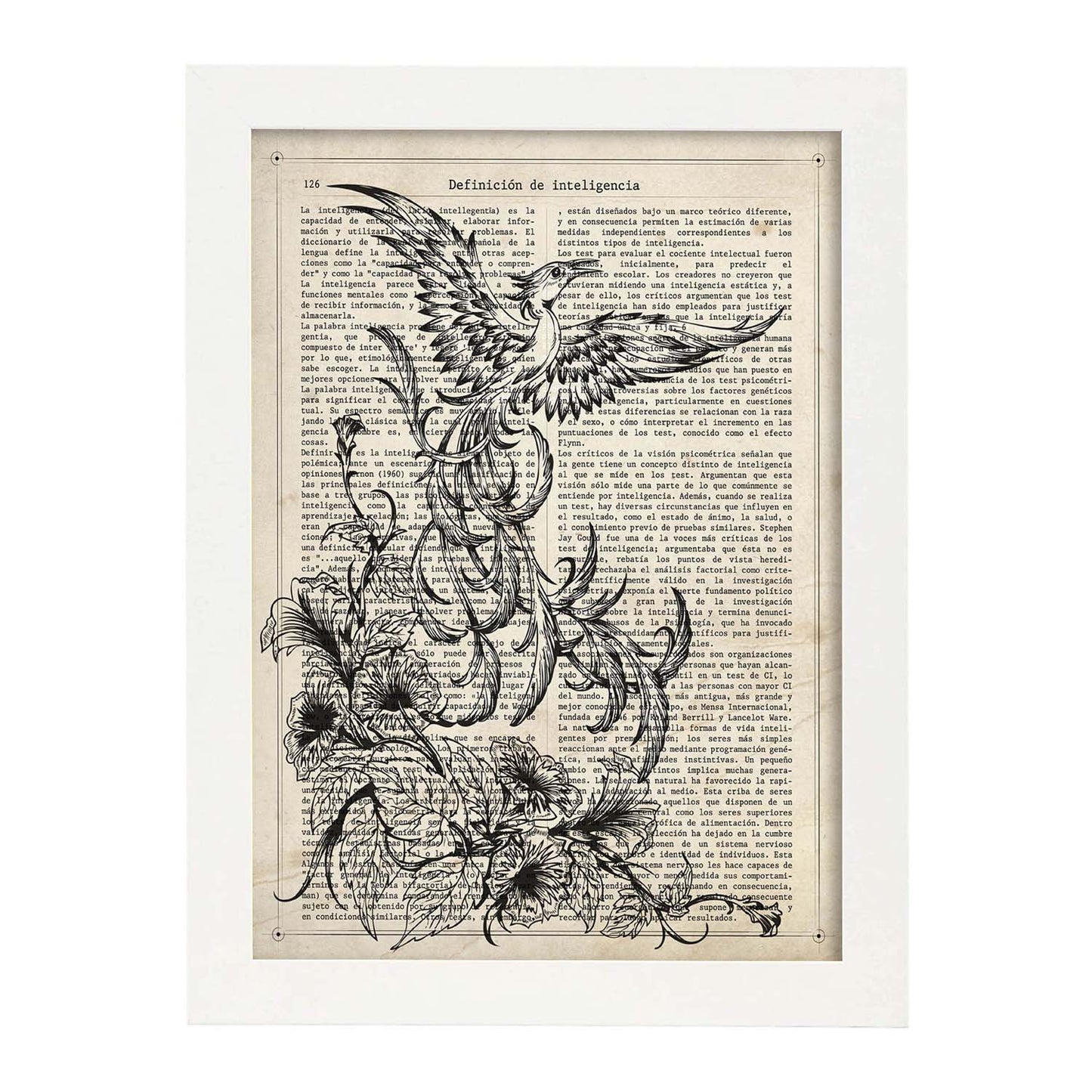 Poster de Fenix blanco y negro. Láminas de animales con definiciones. Ilustraciones de animales con textos.-Artwork-Nacnic-A3-Marco Blanco-Nacnic Estudio SL