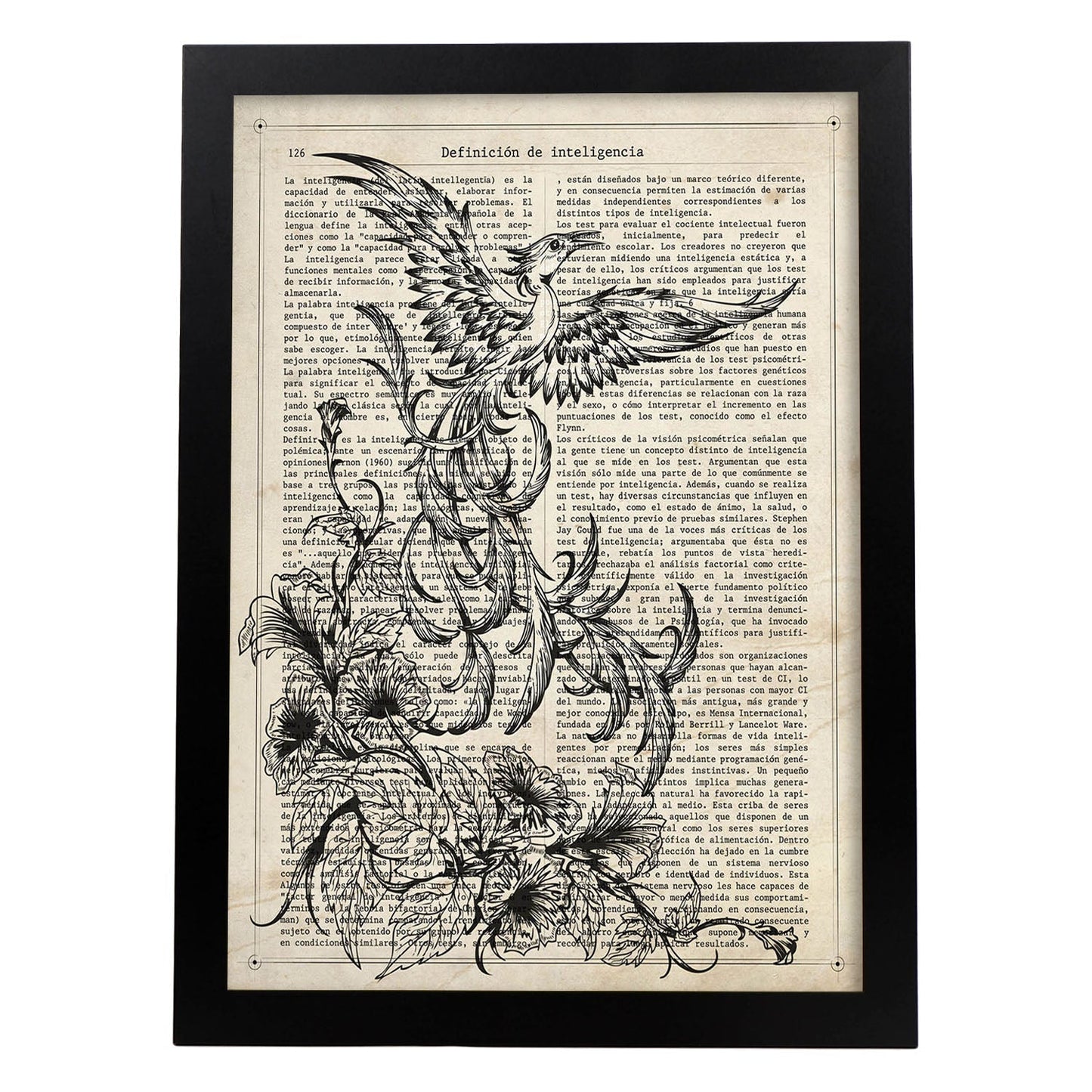Poster de Fenix blanco y negro. Láminas de animales con definiciones. Ilustraciones de animales con textos.-Artwork-Nacnic-A4-Marco Negro-Nacnic Estudio SL