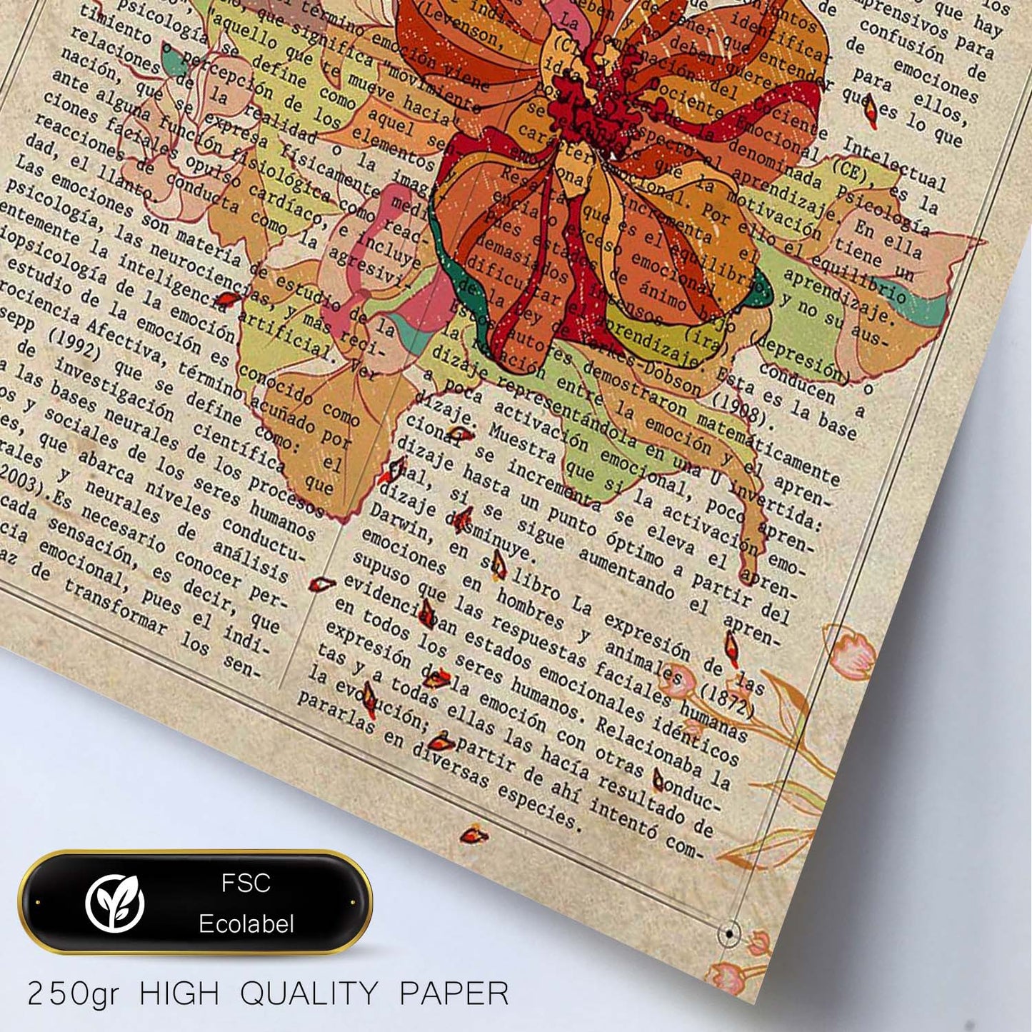 Poster de Flores naranjas. Láminas de flores diseñadas con estilo antiguo. Diseño de botánica y plantas.-Artwork-Nacnic-Nacnic Estudio SL
