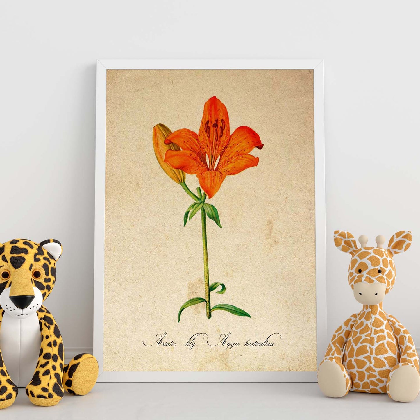 Poster de flores vintage. Lámina Asiatic Lily - Aggie Horticulture con diseño vintage.-Artwork-Nacnic-Nacnic Estudio SL