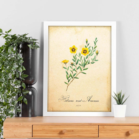 Poster de flores vintage. Lámina Hibiscus rosa 2 con diseño vintage.-Artwork-Nacnic-Nacnic Estudio SL