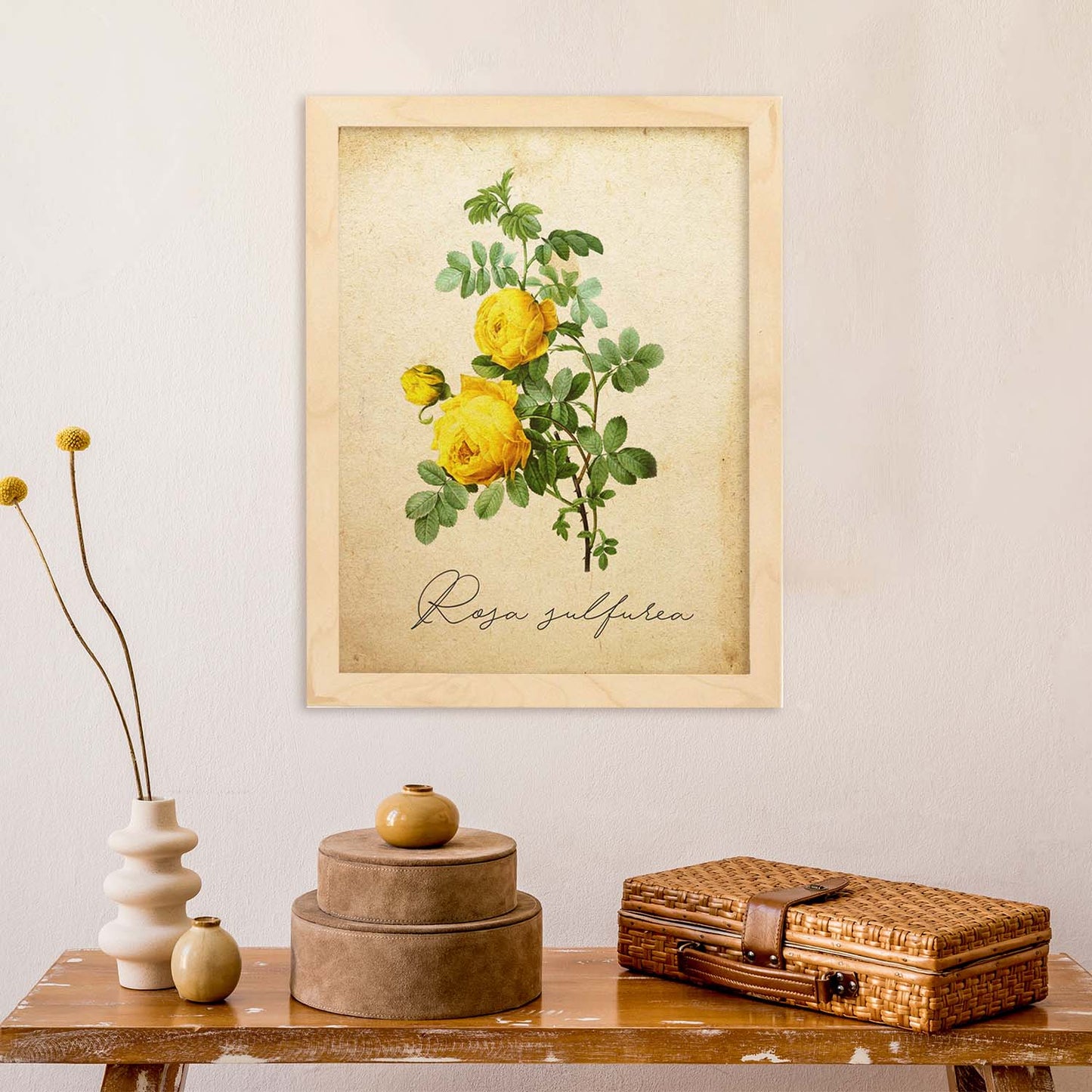 Poster de flores vintage. Lámina Hibiscus rosa - amarillo con diseño vintage.-Artwork-Nacnic-Nacnic Estudio SL