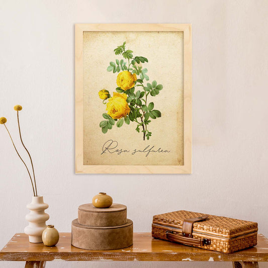 Poster de flores vintage. Lámina Hibiscus rosa - amarillo con diseño vintage.-Artwork-Nacnic-Nacnic Estudio SL