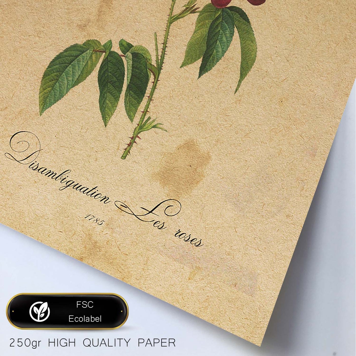 Poster de flores vintage. Lámina Les Roses con diseño vintage.-Artwork-Nacnic-Nacnic Estudio SL