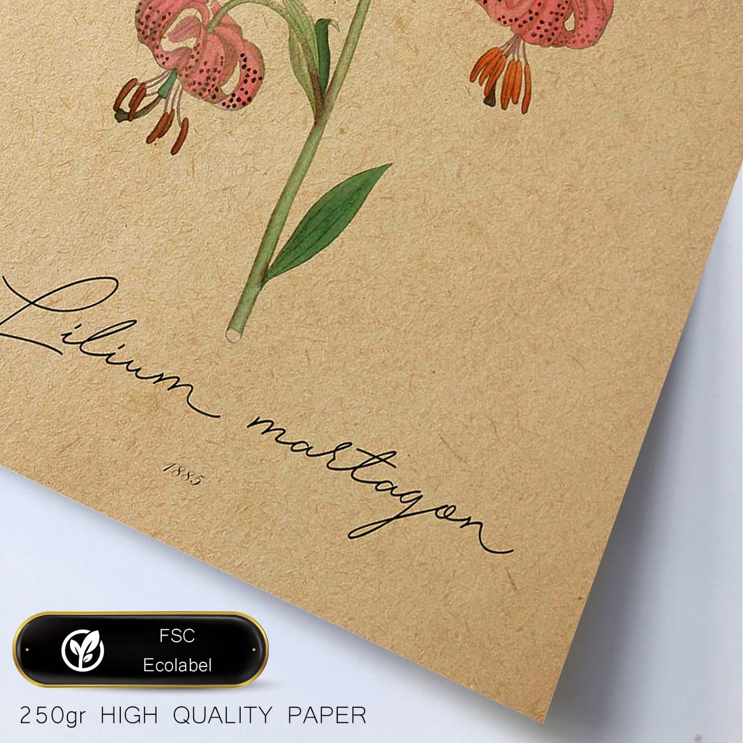 Poster de flores vintage. Lámina Lilium asiatic con diseño vintage.-Artwork-Nacnic-Nacnic Estudio SL