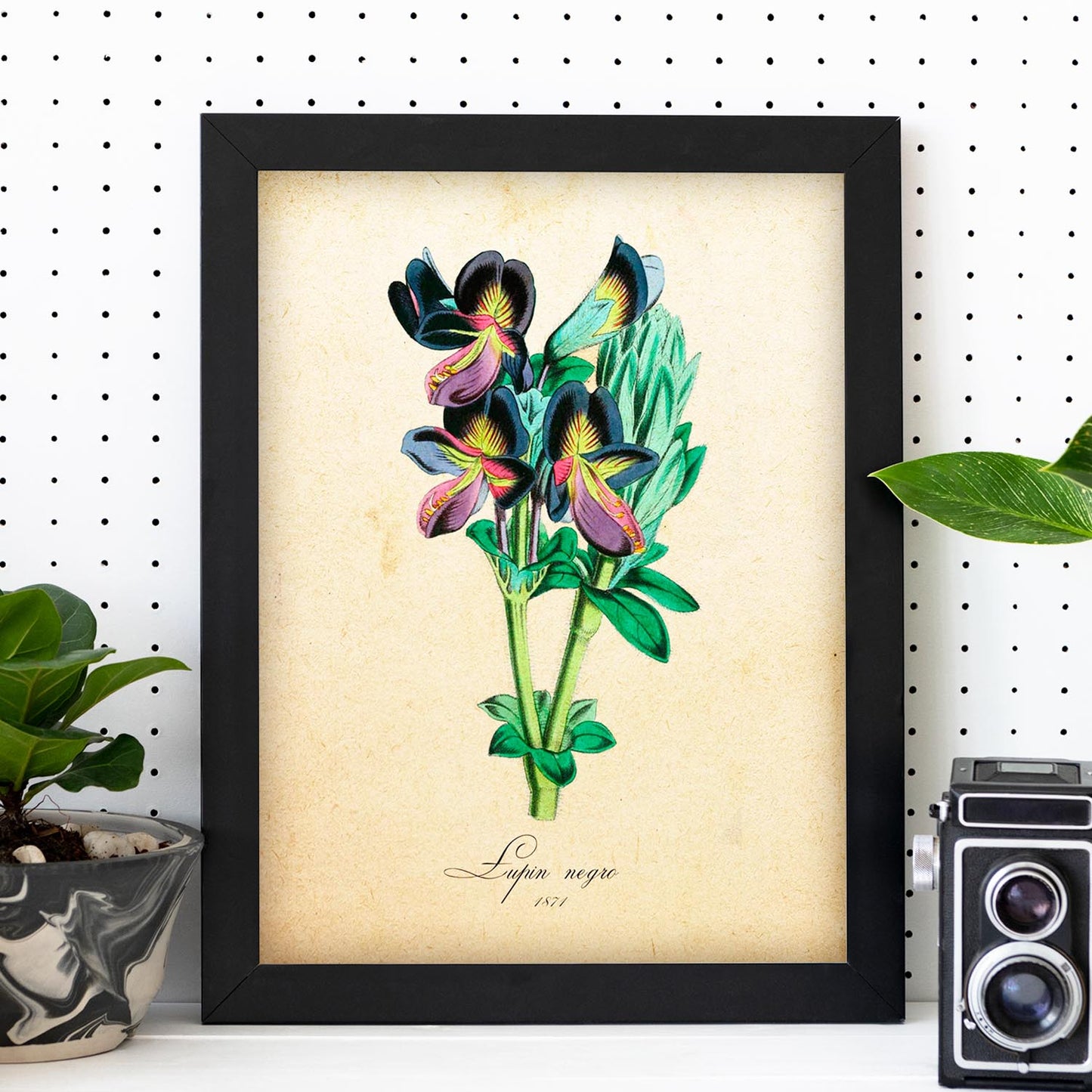 Poster de flores vintage. Lámina lupin negro con diseño vintage.-Artwork-Nacnic-Nacnic Estudio SL