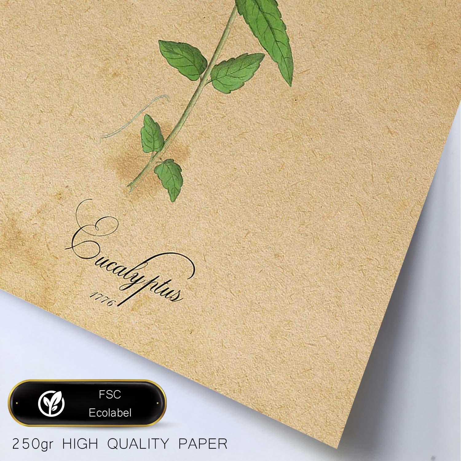 Poster de flores vintage. Lámina Menta con diseño vintage.-Artwork-Nacnic-Nacnic Estudio SL