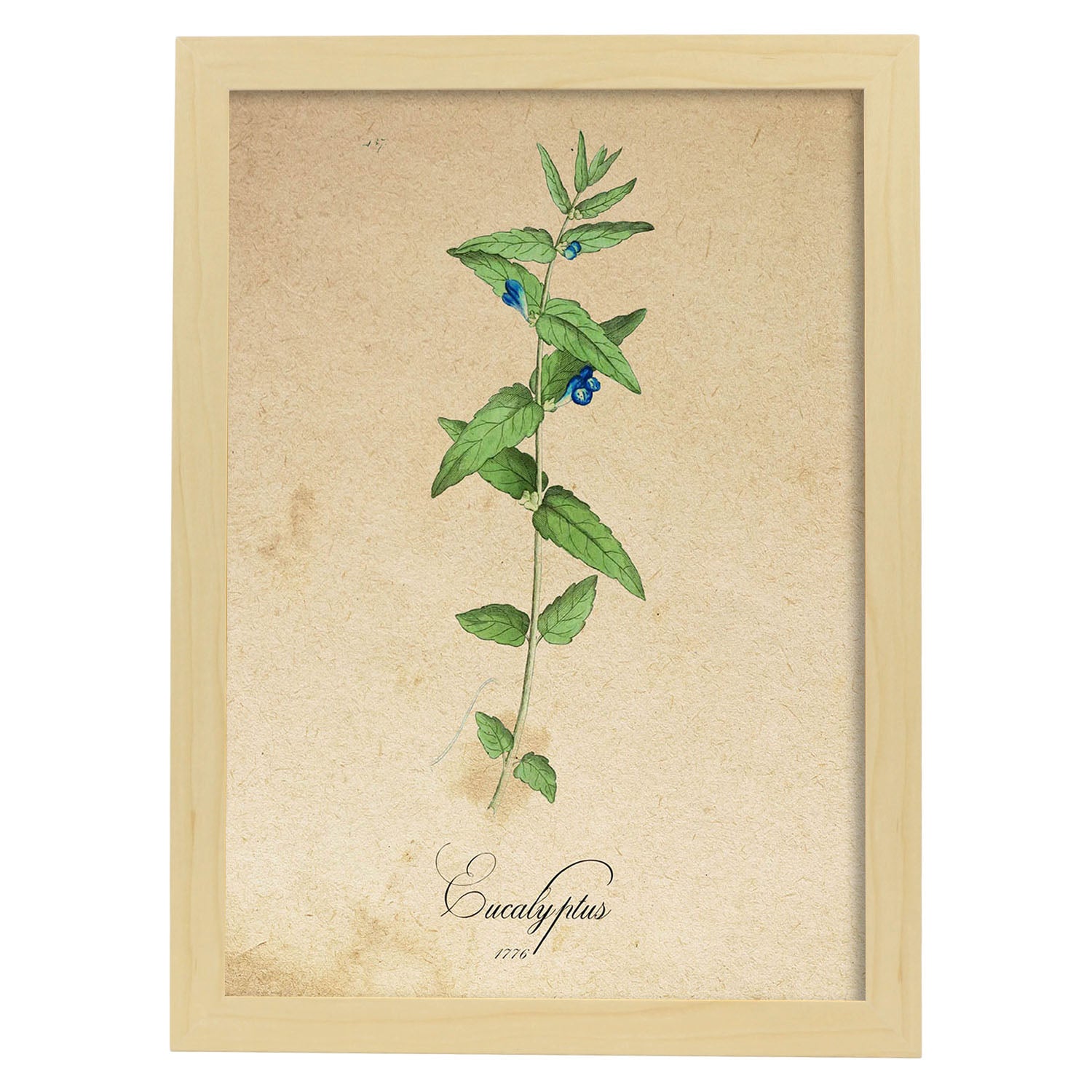 Poster de flores vintage. Lámina Menta con diseño vintage.-Artwork-Nacnic-A3-Marco Madera clara-Nacnic Estudio SL