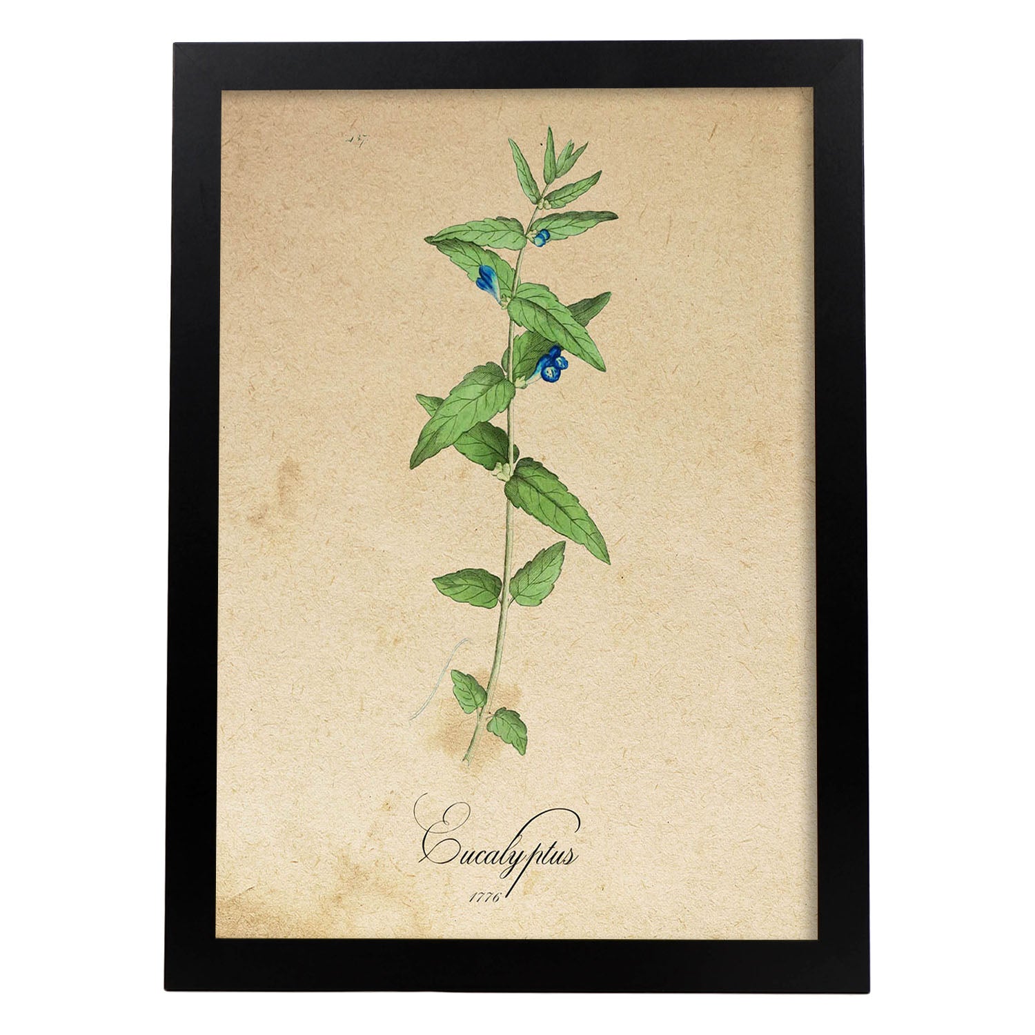 Poster de flores vintage. Lámina Menta con diseño vintage.-Artwork-Nacnic-A3-Marco Negro-Nacnic Estudio SL