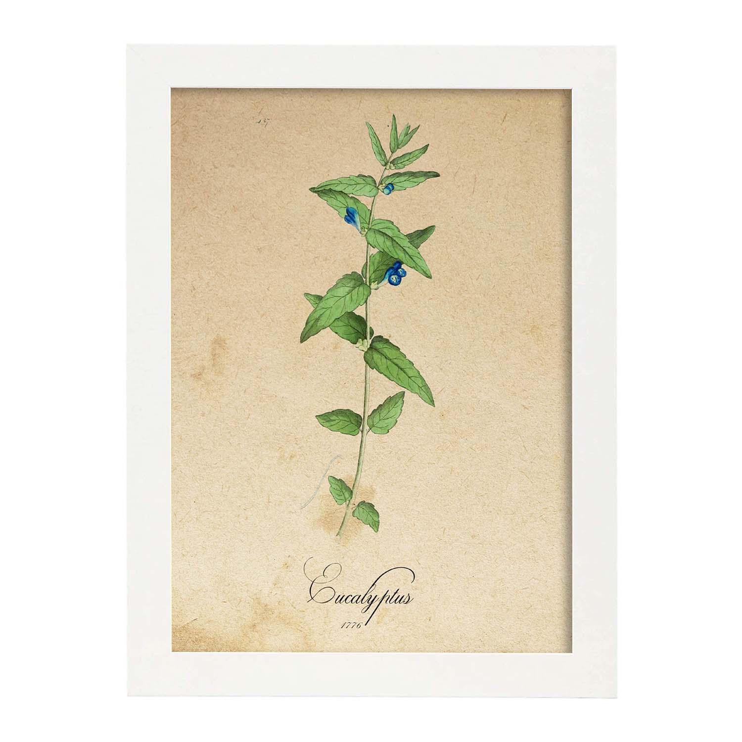 Poster de flores vintage. Lámina Menta con diseño vintage.-Artwork-Nacnic-A4-Marco Blanco-Nacnic Estudio SL