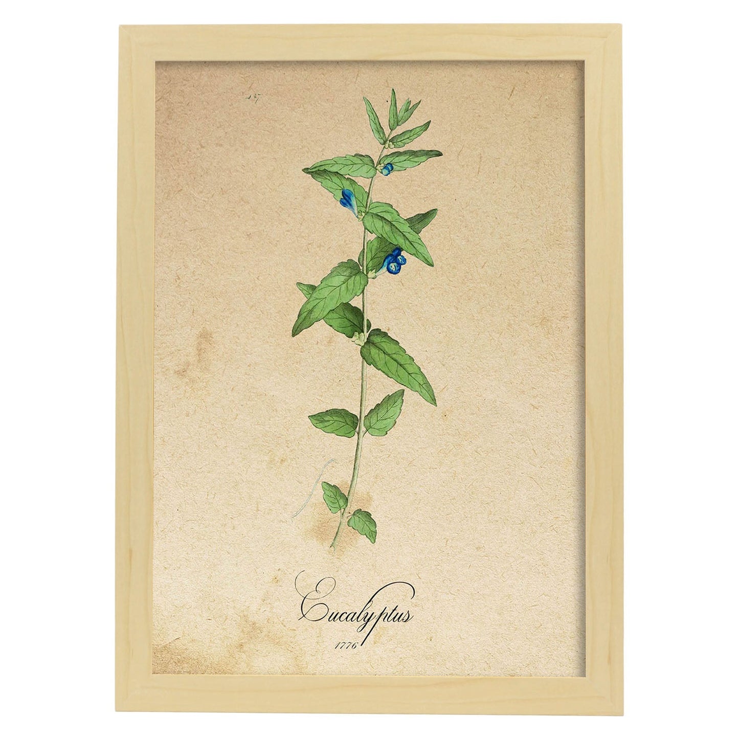 Poster de flores vintage. Lámina Menta con diseño vintage.-Artwork-Nacnic-A4-Marco Madera clara-Nacnic Estudio SL