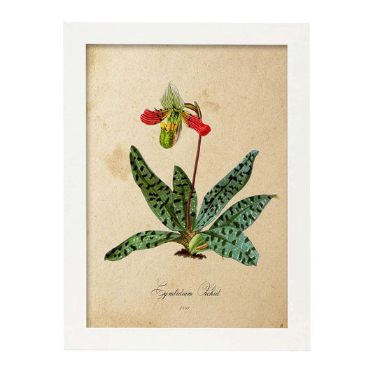 Poster de flores vintage. Lámina Orchid with leaves con diseño vintage.-Artwork-Nacnic-A4-Marco Blanco-Nacnic Estudio SL