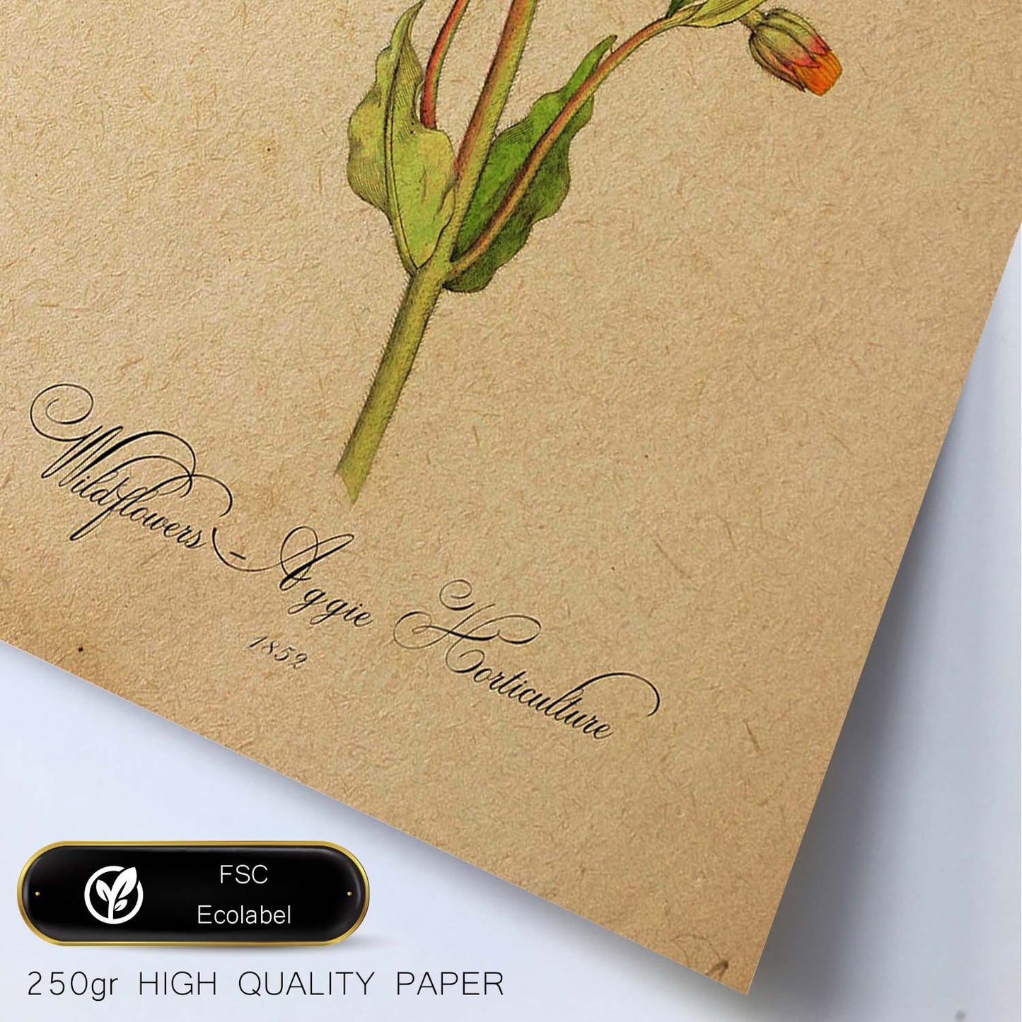 Poster de flores vintage. Lámina Wildflowers con diseño vintage.-Artwork-Nacnic-Nacnic Estudio SL