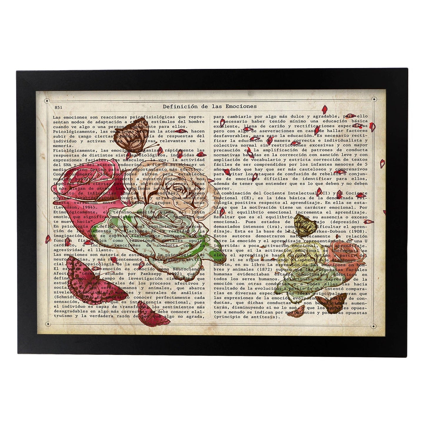 Poster de Flores y mariposas. Láminas de flores diseñadas con estilo antiguo. Diseño de botánica y plantas.-Artwork-Nacnic-A4-Marco Negro-Nacnic Estudio SL