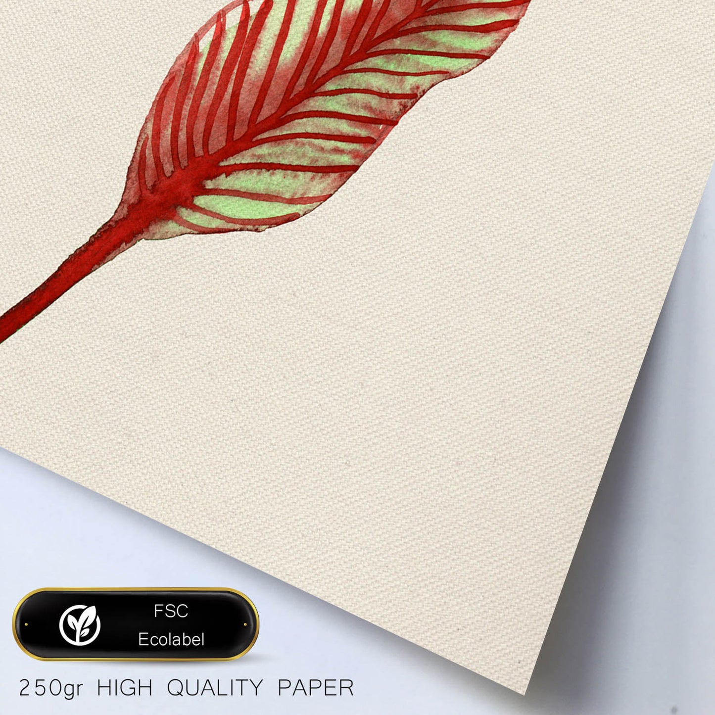 Poster de flores y naturaleza. Lámina cuadrada Dime quien soy, ilustrada con dibujos a color.-Artwork-Nacnic-Nacnic Estudio SL