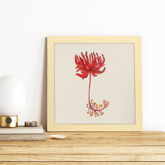 Poster de flores y naturaleza. Lámina cuadrada Flor de raíz, ilustrada con dibujos a color.-Artwork-Nacnic-Nacnic Estudio SL